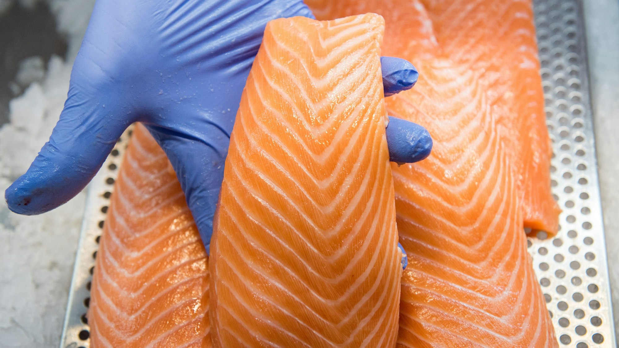 ARCHIV - 05.09.2018, Hamburg: ILLUSTRATION - Ein Mitarbeiter präsentiert in einem Fischmarkt in einer Kühlvitrine liegenden Lachs. (zu dpa: «Foodwatch kritisiert Bedingungen bei Lachszucht») Foto: Daniel Bockwoldt/dpa +++ dpa-Bildfunk +++