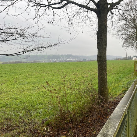 Auf einem Feld an der B 8 könnte ein Gewerbegebiet entstehen.