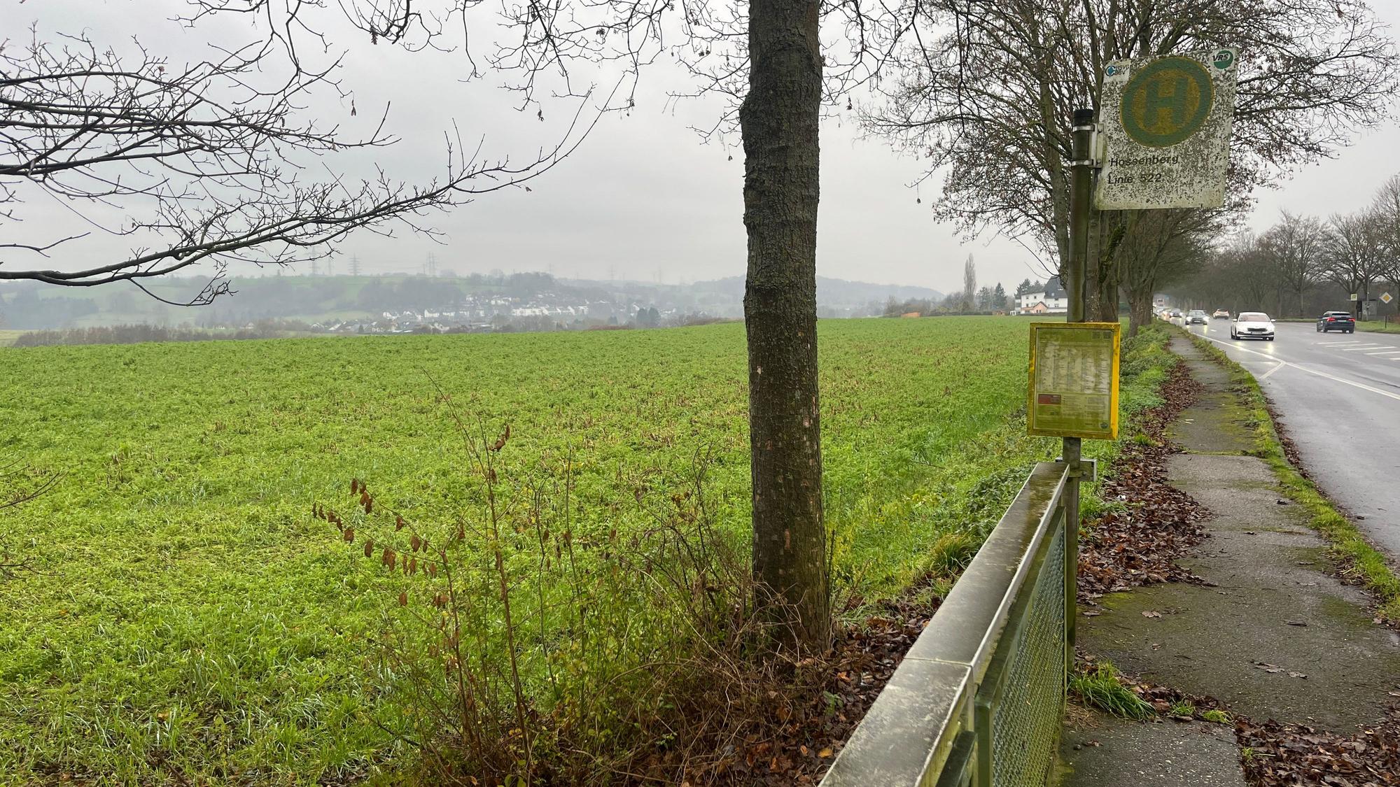 Auf einem Feld an der B 8 könnte ein Gewerbegebiet entstehen.
