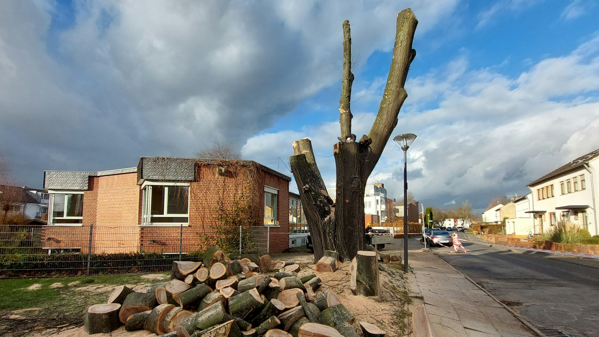 Die Reste eines großen und alten Baums stehen an einer Straße. Im Vordergrund liegen die in Stücke geschnittenen Äste.