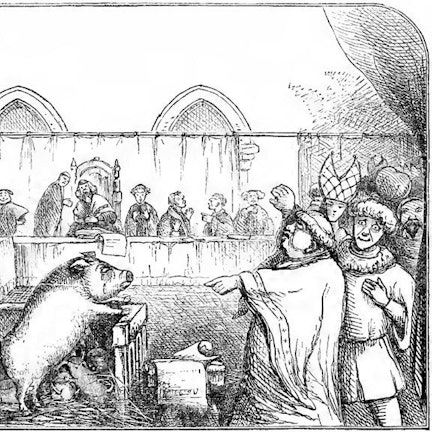 Eine Sau lehnt sich mit den Pfoten oben auf einen kleinen Vorsprung, darunter sind kleine Ferkel. Ein Mann zeigt auf das Schwein. Weitere Menschen im Hintergrund.