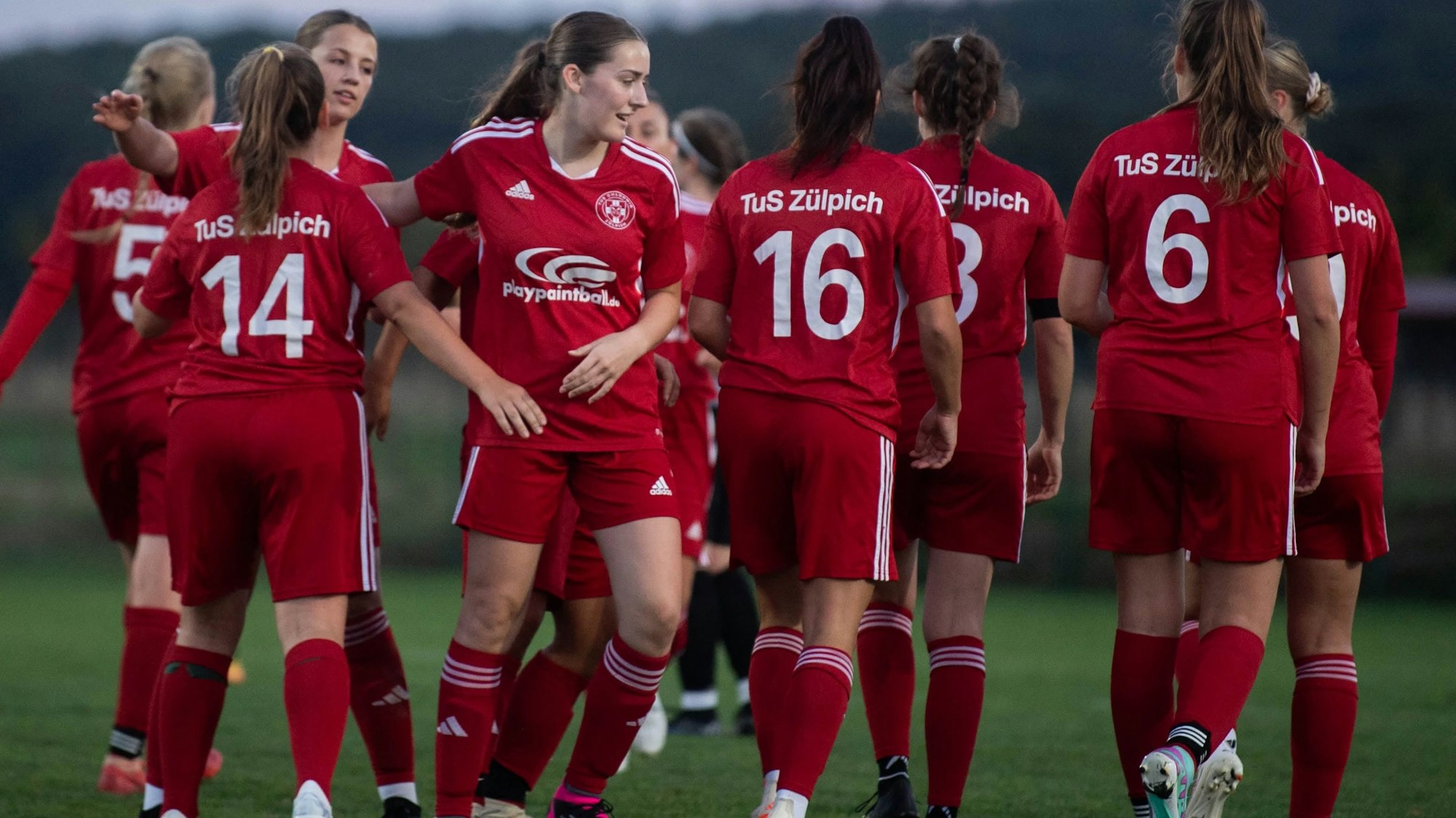 Das Bild zeigt die Mannschaft des TuS Zülpich, die sich über ein Tor freut.