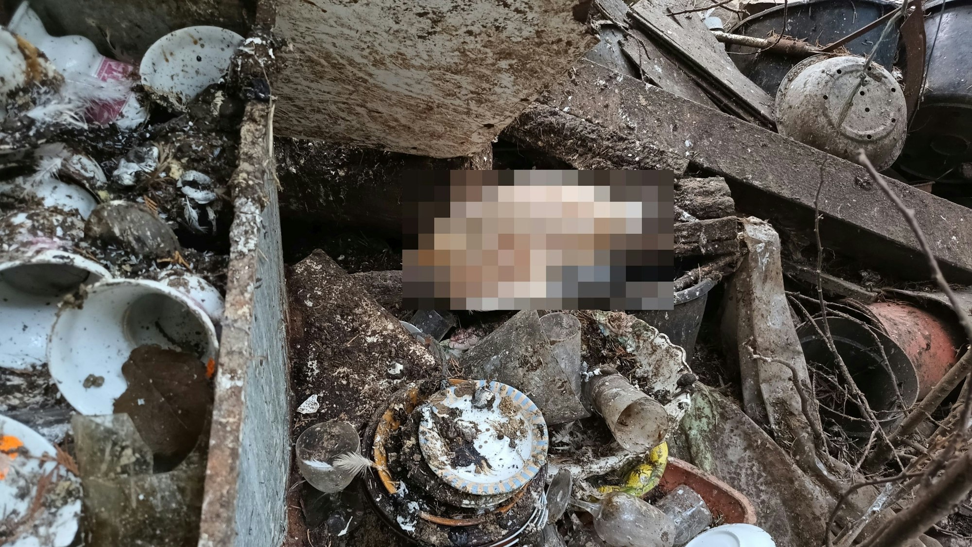 Im Hof des Anwesens stieß das Team dann zwischen großen Mengen Unrat auf tote und verwahrloste Tiere.