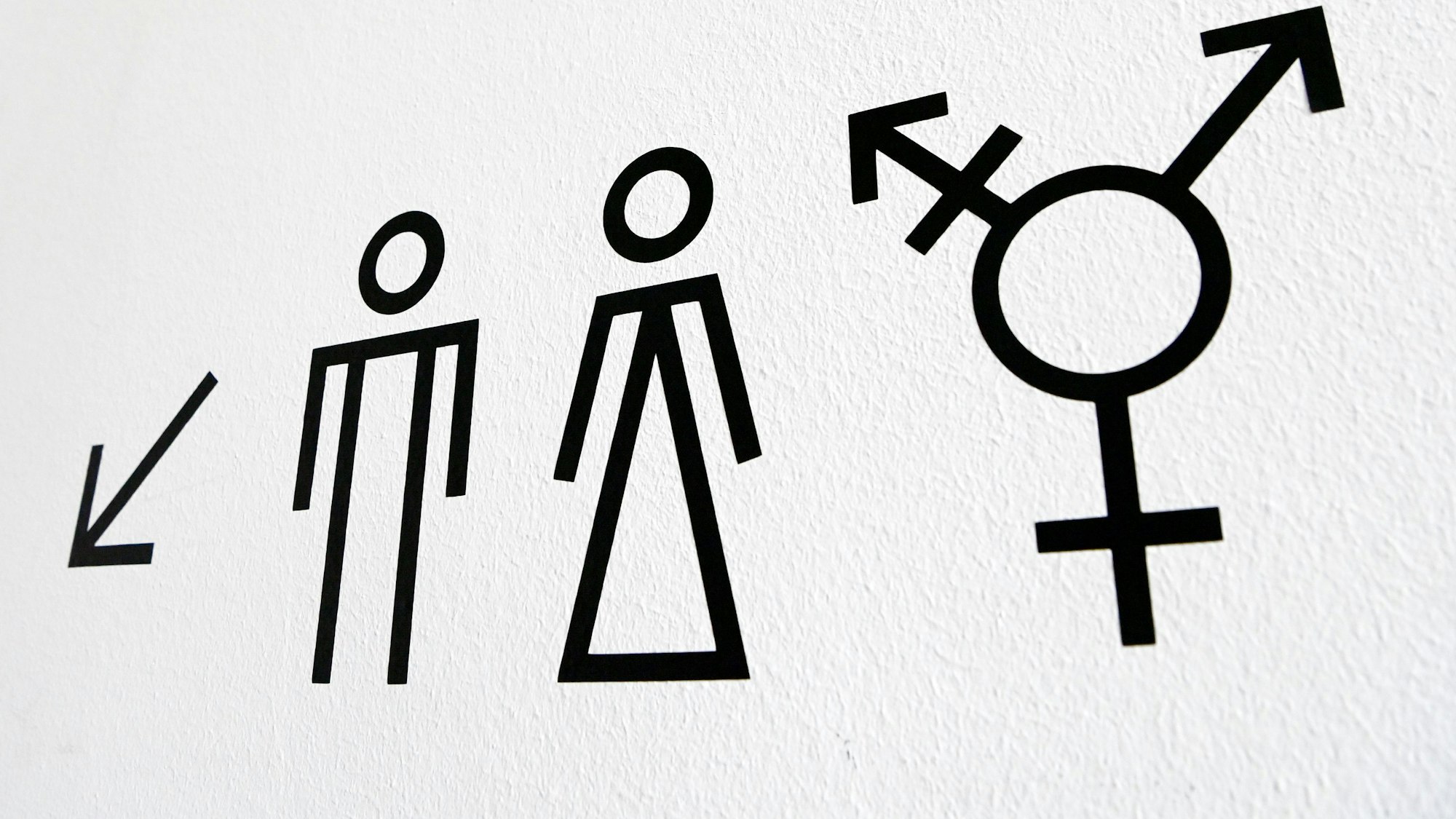 Piktogramme weisen auf Toiletten für Männer, Frauen und Allgender / Transgender hin.