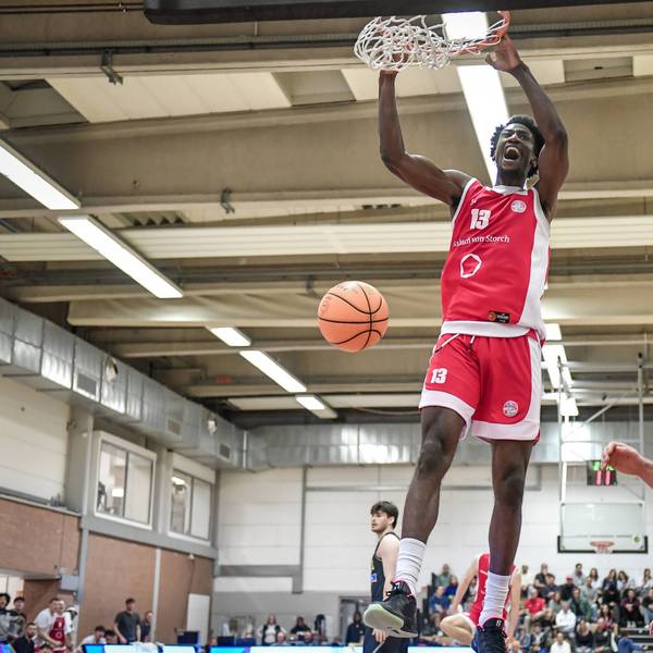 Barmer 2. Basketball Bundesliga ProB: Rheinstars Koeln vs. Porsche BBA Ludwigsburg, 07.12.2024 D Andre Bernard RheinStars Koeln 13, Barmer 2. Basketball Bundesliga ProB: Rheinstars Koeln vs. Porsche BBA Ludwigsburg am 07.12.2024 im ASV Koeln in Koeln Nordrhein-Westfalen *** Barmer 2 Basketball Bundesliga ProB Rheinstars Koeln vs Porsche BBA Ludwigsburg, 07 12 2024 D Andre Bernard RheinStars Koeln 13 , Barmer 2 Basketball Bundesliga ProB Rheinstars Koeln vs Porsche BBA Ludwigsburg on 07 12 2024 at ASV Koeln in Koeln North Rhine-Westphalia Copyright: xBEAUTIFULxSPORTS/Mueller-Laschetx