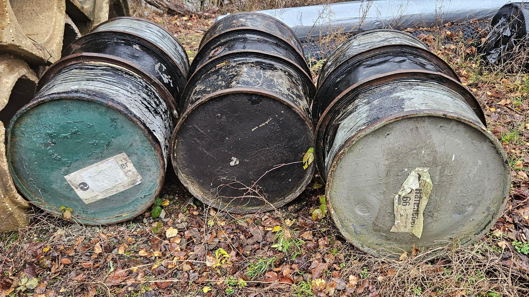 Drei alte Fässer liegen auf laubbedecktem Boden.