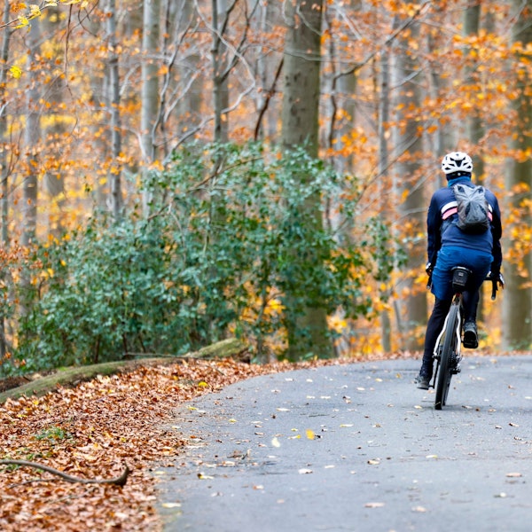Ein Fahrradfahrer auf asphaltierter Straße im Wald.