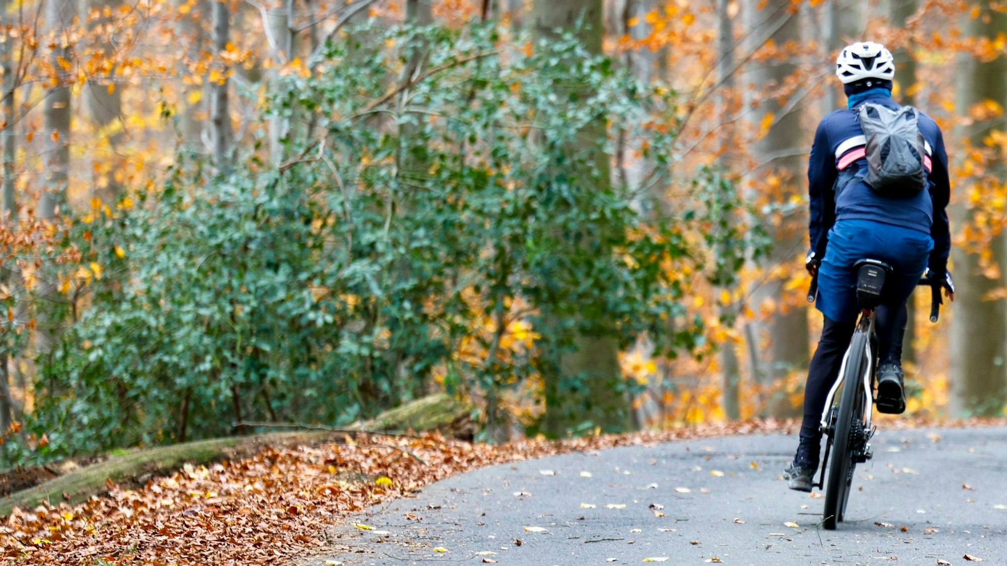 Ein Fahrradfahrer auf asphaltierter Straße im Wald.