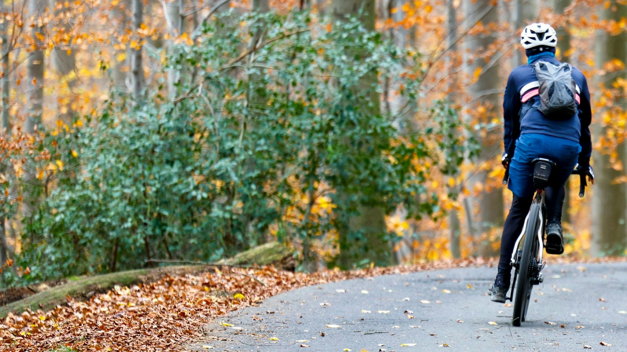 Ein Rennradfahrer auf einer Straße