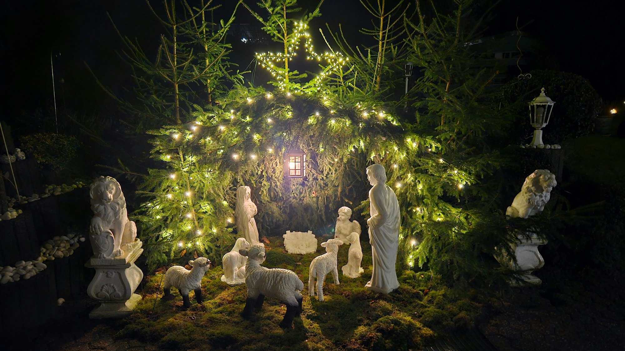 Blick auf die von vielen kleinen Lampen erleuchtete Außenkrippe in Olef bei Georg und Rosemarie Weber.
