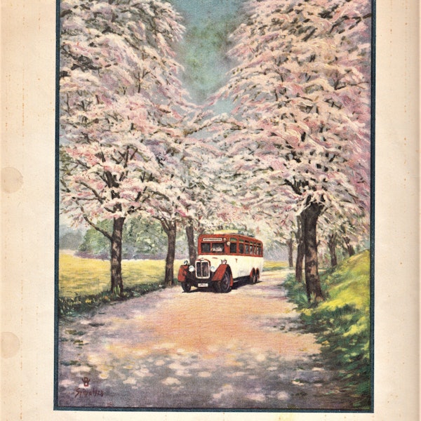 Das Bild aus dem Jahr 1929 zeigt einen rot-weiß-lackierten Wupsi-Bus auf einer blühenden Allee.