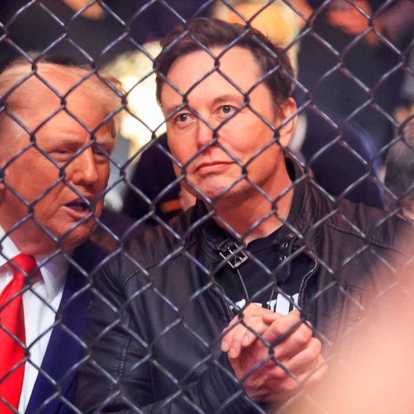 Donald Trump (l.) und Elon Musk beim einem UFC-Event.
