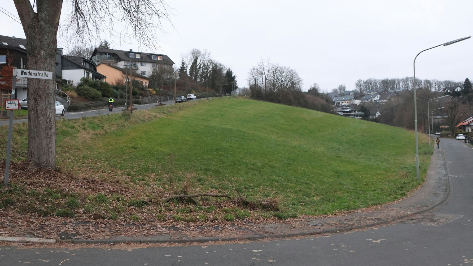 Blick auf eine Wiese oberhalb der Ortsmitte.