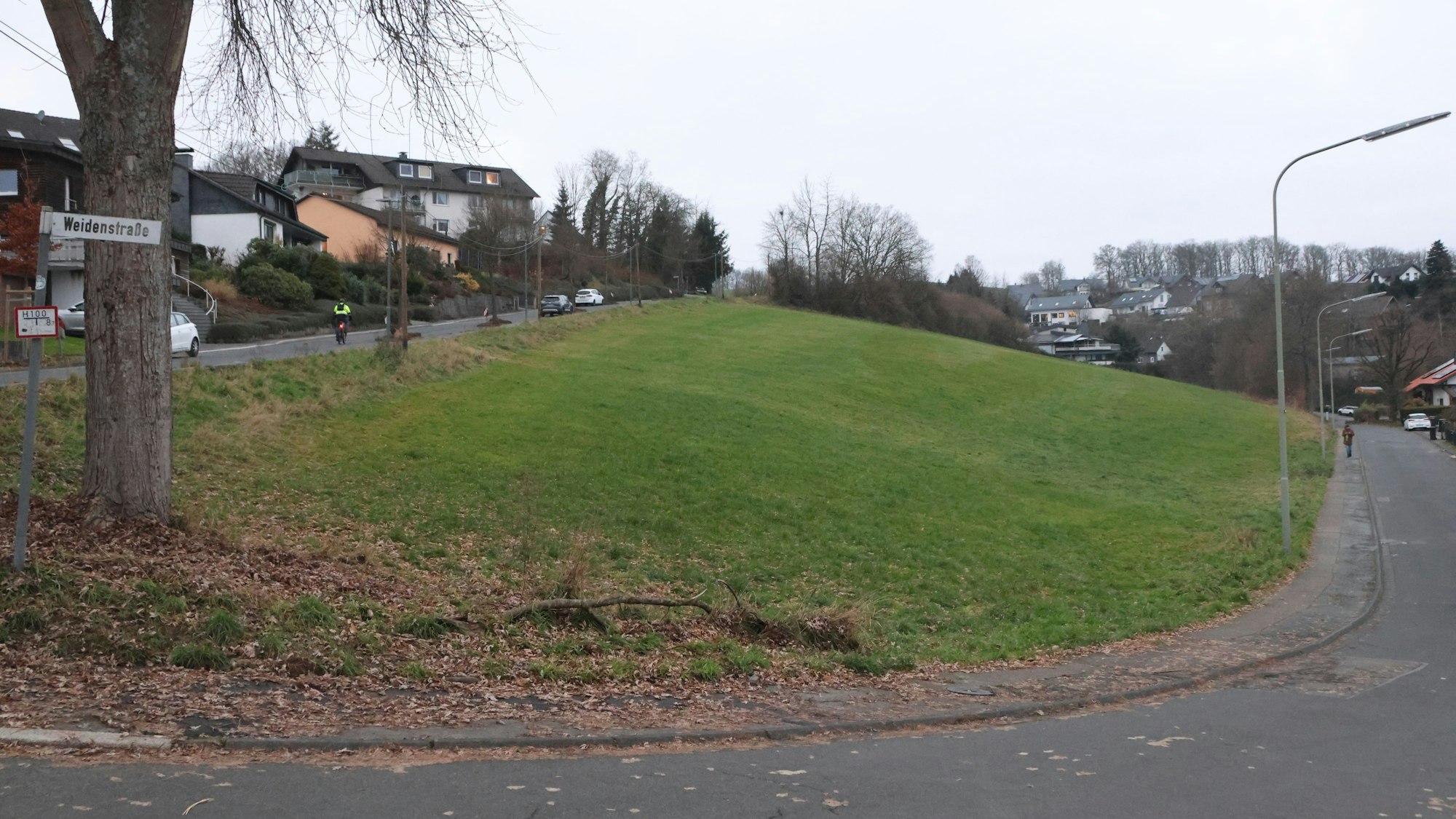 Blick auf eine Wiese oberhalb der Ortsmitte.