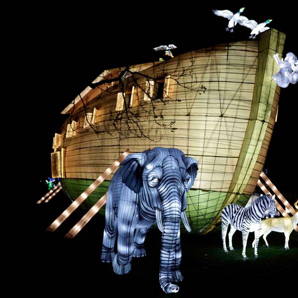 Bei den China Lights im Zoo geht die Arche vor Anker