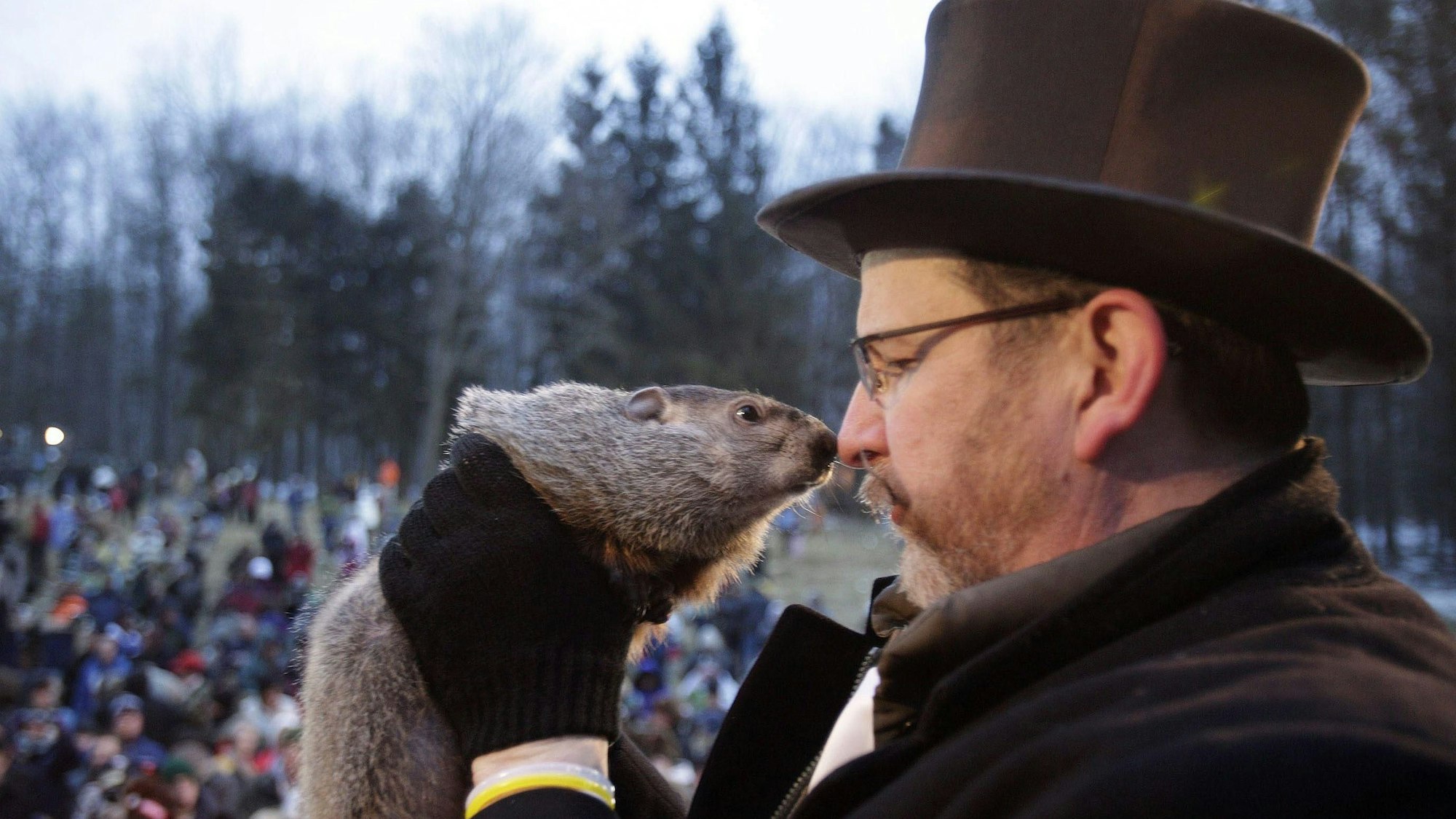 ARCHIV - Murmeltier Phil schnüffelt am 02.02.2011 am Mikrofon von Ben Hughes, einem Mitglied des Murmeltier-Clubs, während der Feierlichkeiten zum Murmeltiertag in Gobbler's Knob bei Punxsutawney, Pennsylvania, USA. Am 2. Februar, dem Murmeltiertag, befragen die Menschen in Punxsutawney das berühmte Murmeltier «Groundhog Phil» zum Frühlingsbeginn.