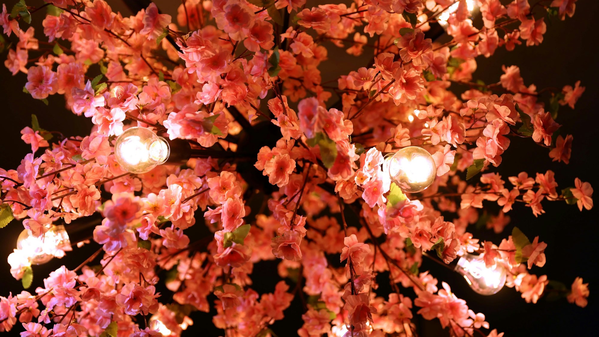 Kirschblüten verzieren die Decke des Restaurants.