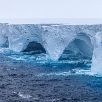 Der Eisberg A23a schwimmt im antarktischen Meer.