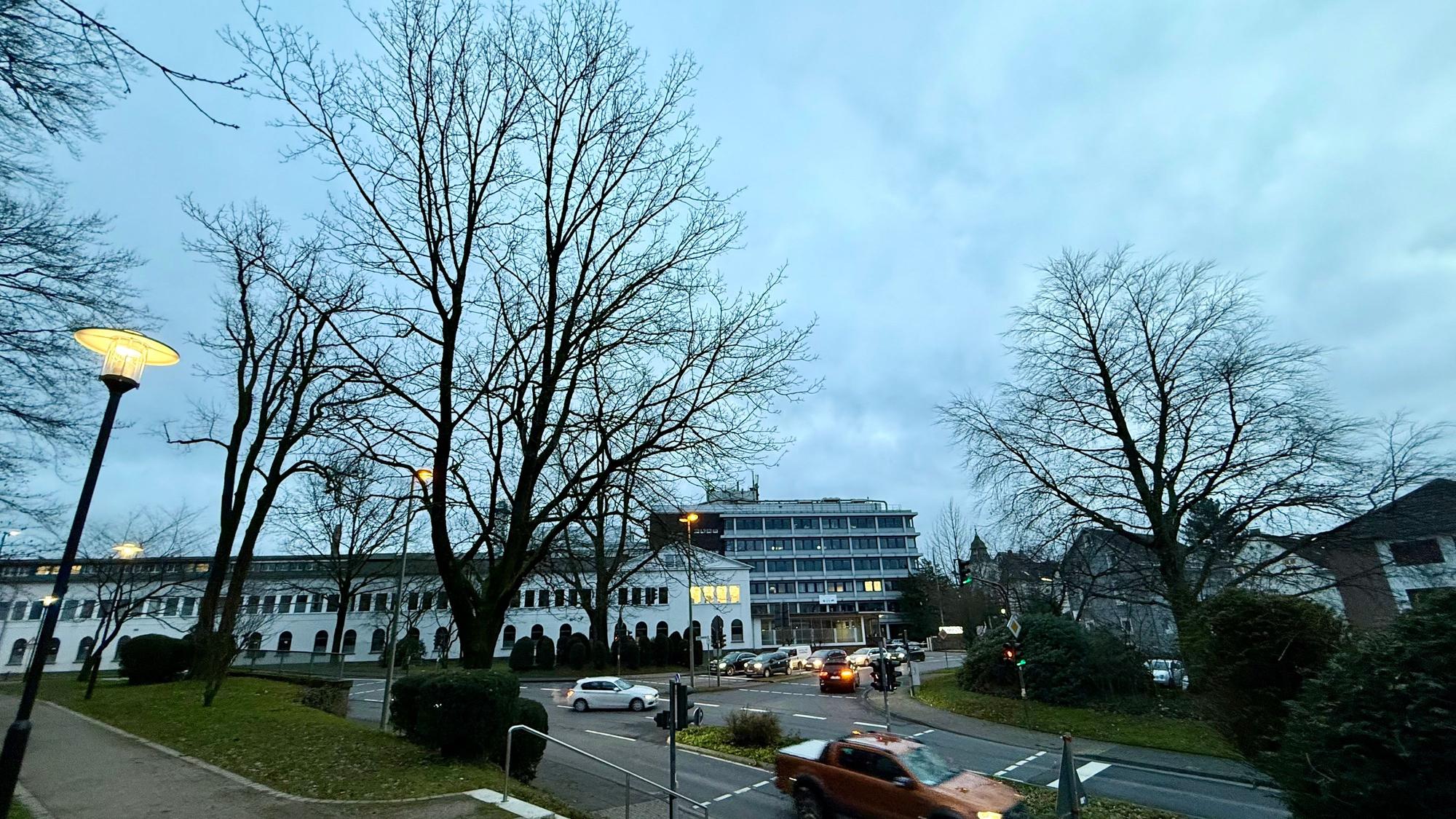 Die Bäume in der Kurve bei Tenneco.