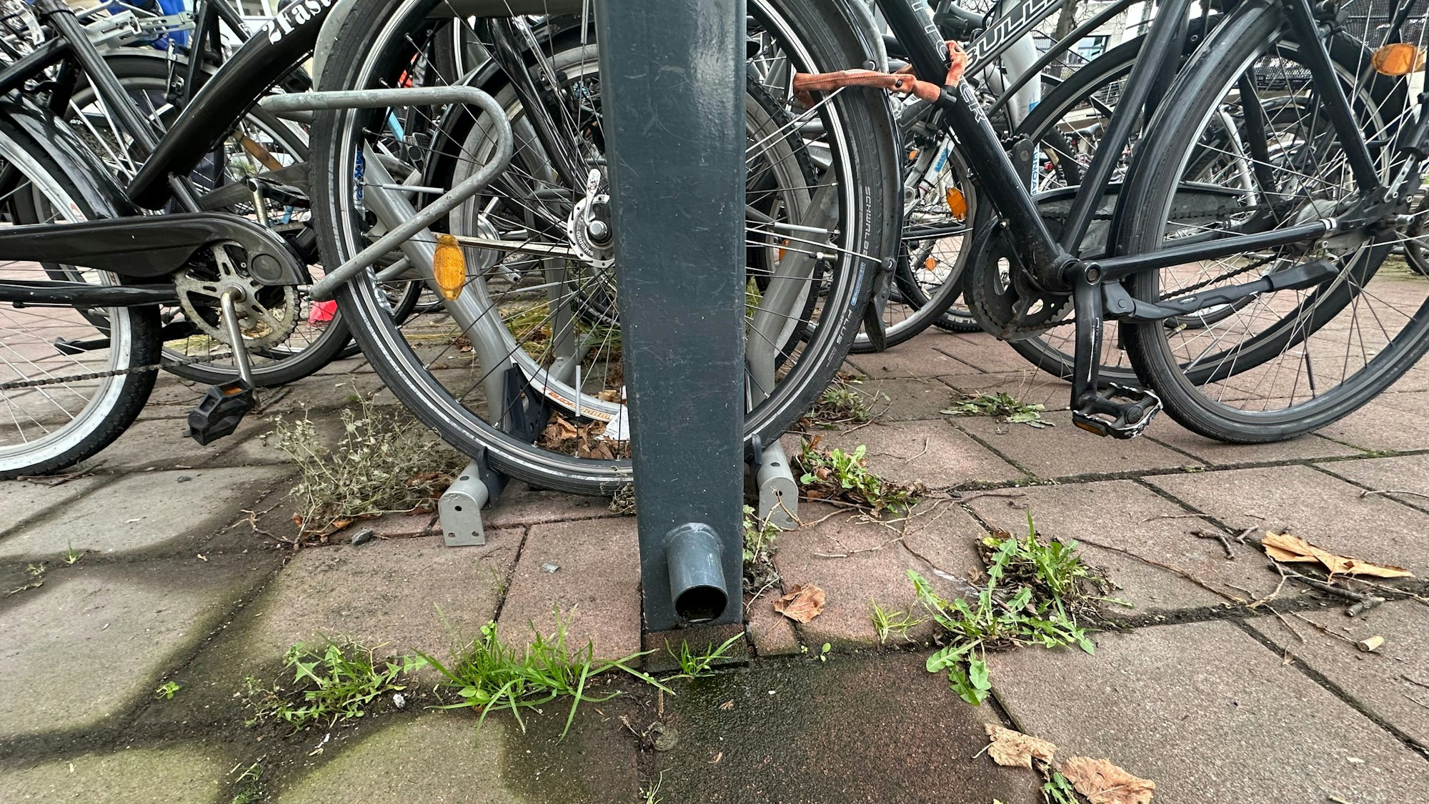 Über ein Rohr wird das Regenwasser vom Dach der Mobilstation auf den Boden geleitet.