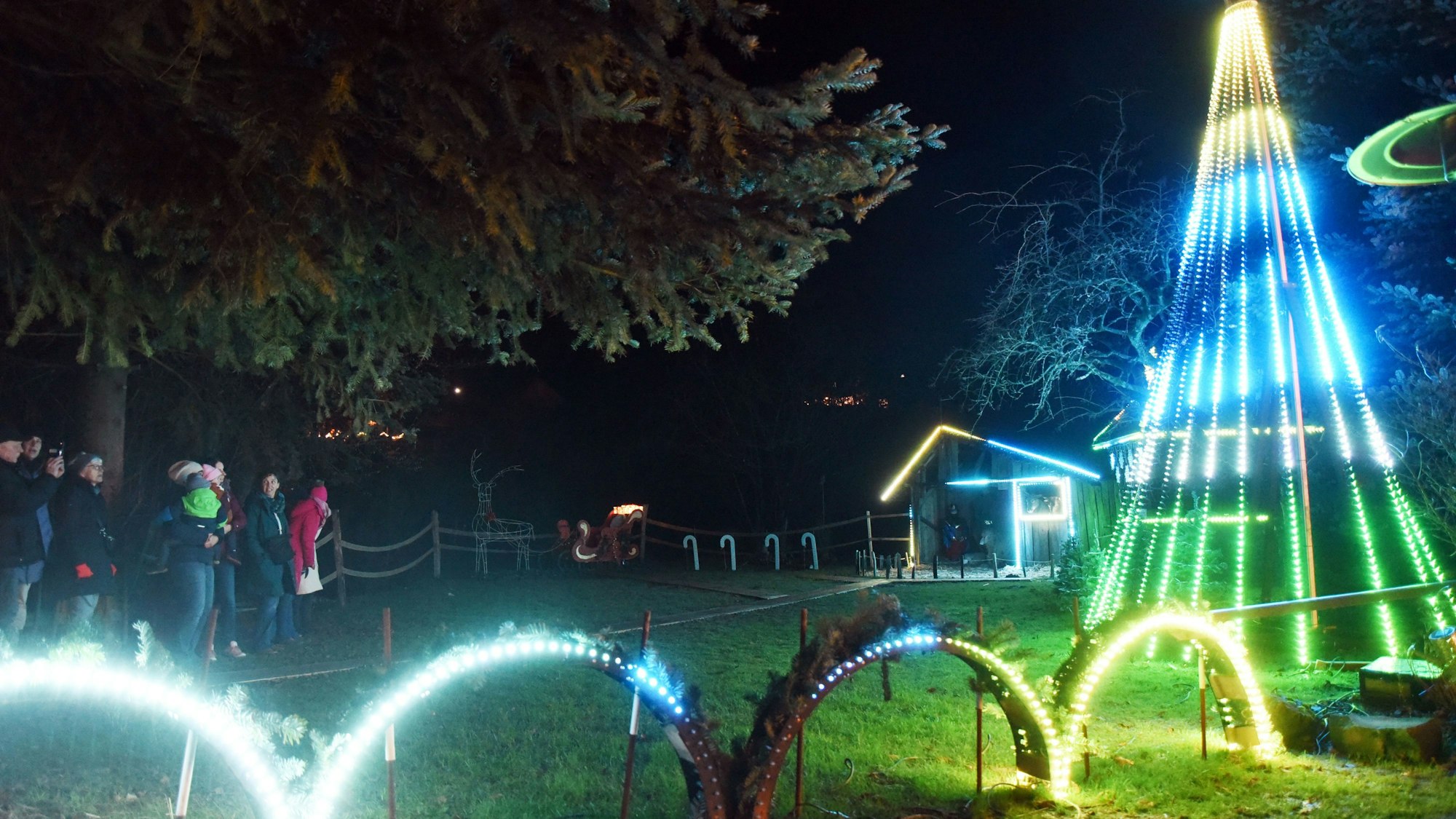 In einem Garten wird eine weihnachtliche Lichtershow mit zahlreichen blinkenden Lämpchen gezeigt.