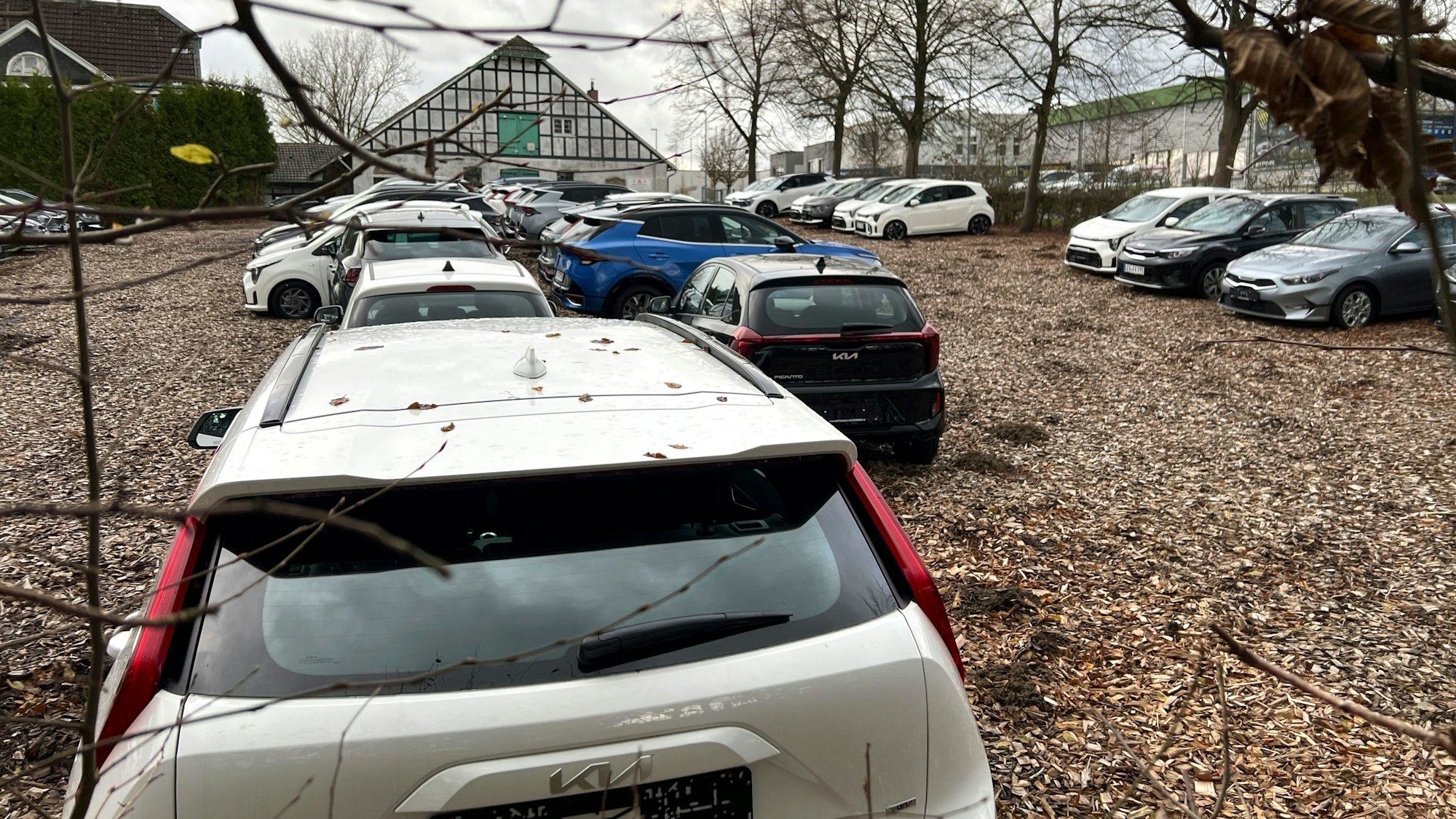 Kia-Autos auf dem Gutshof Linde in Linde-Irlen