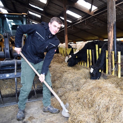 Junglandwirt Harm Breidenassel bei der Arbeit auf dem Hof Haus Ley in Engelskirchen Bellingroth.