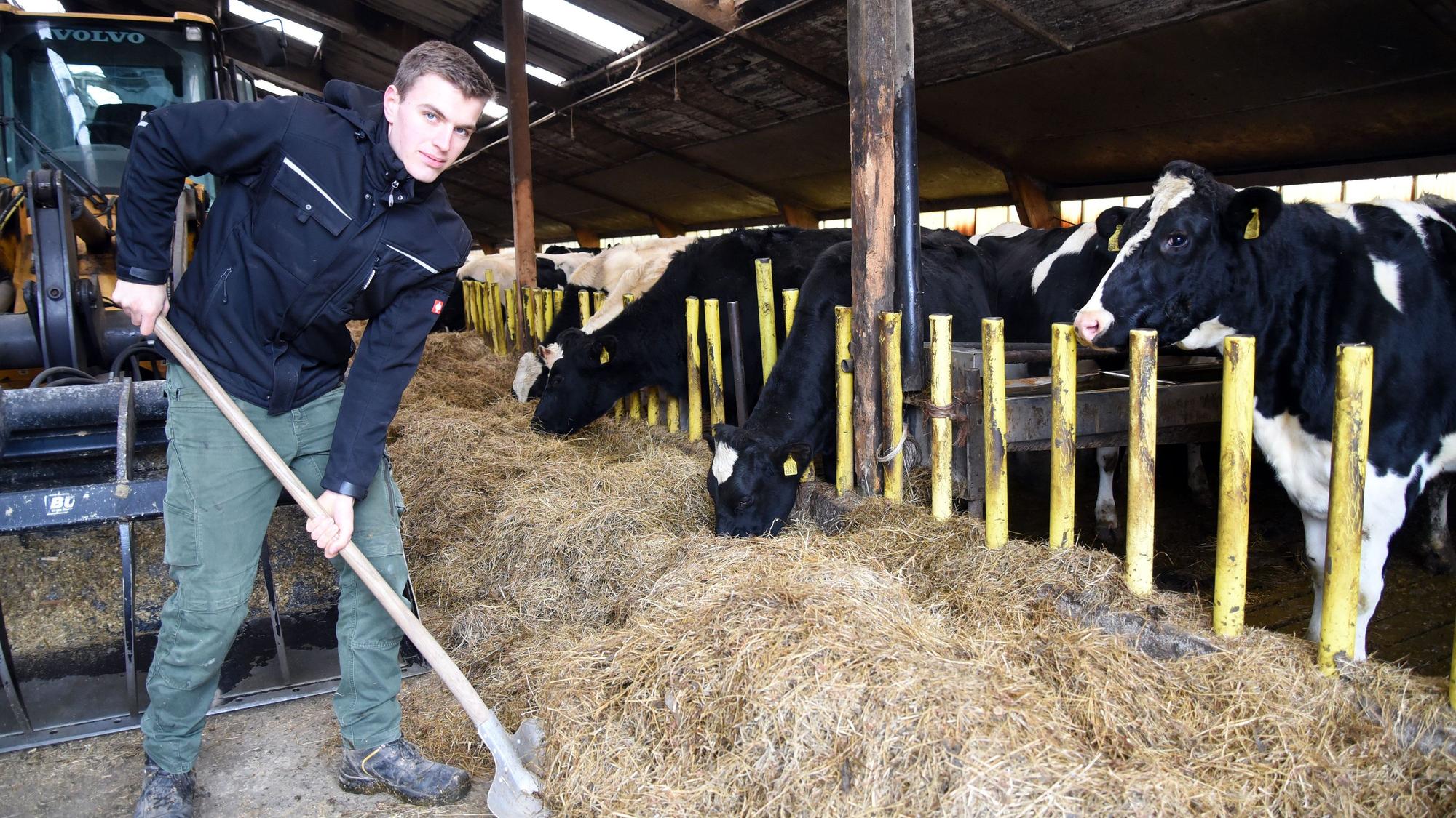 Junglandwirt Harm Breidenassel bei der Arbeit auf dem Hof Haus Ley in Engelskirchen Bellingroth.