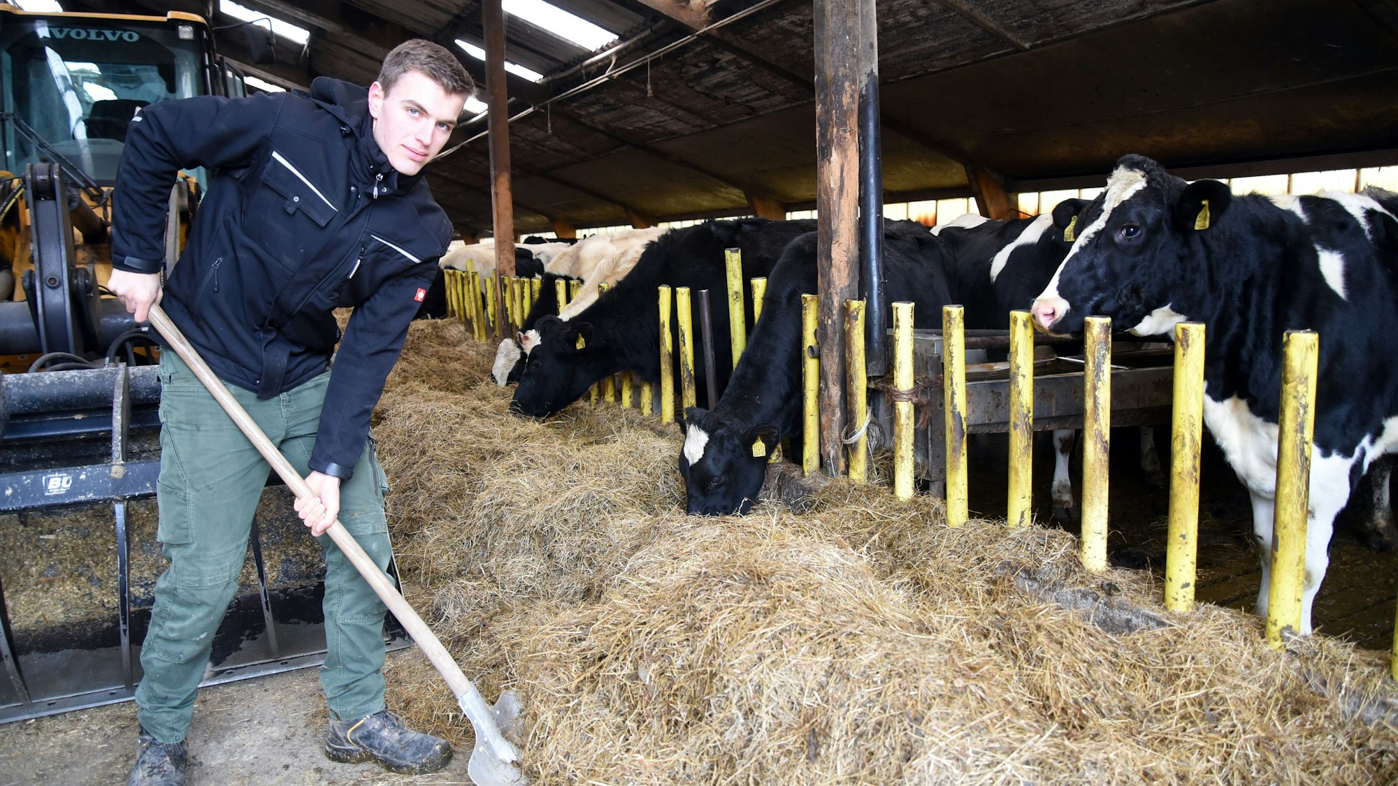 Junglandwirt Harm Breidenassel bei der Arbeit auf dem Hof Haus Ley in Engelskirchen Bellingroth.