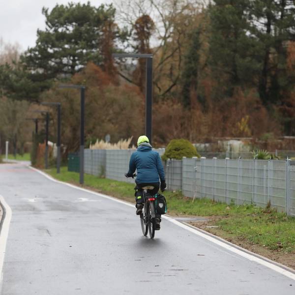 Ein Radfahrer fährt auf einem gut ausgebauten Radweg.