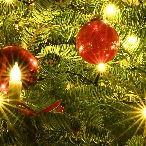 Rote Kugeln und elektrische Kerzen schmücken einen Weihnachtsbaum.