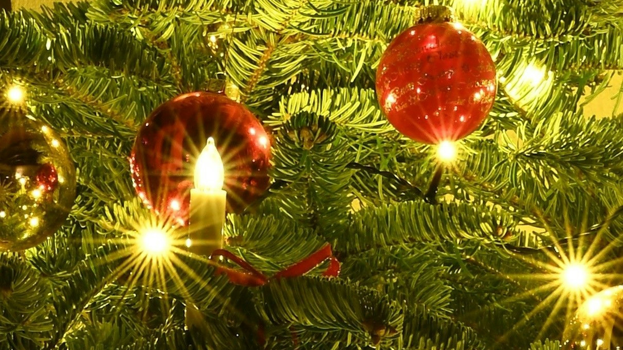 Rote Kugeln und elektrische Kerzen schmücken einen Weihnachtsbaum.