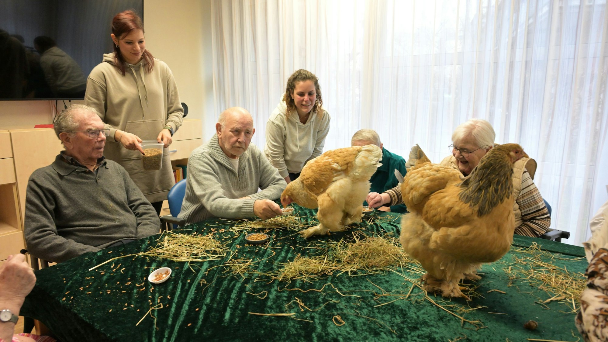 Alte Menschen sitzen um einen großen Tisch. Darauf spazieren auf einer grünen Decke zwei große, braune Hühner.