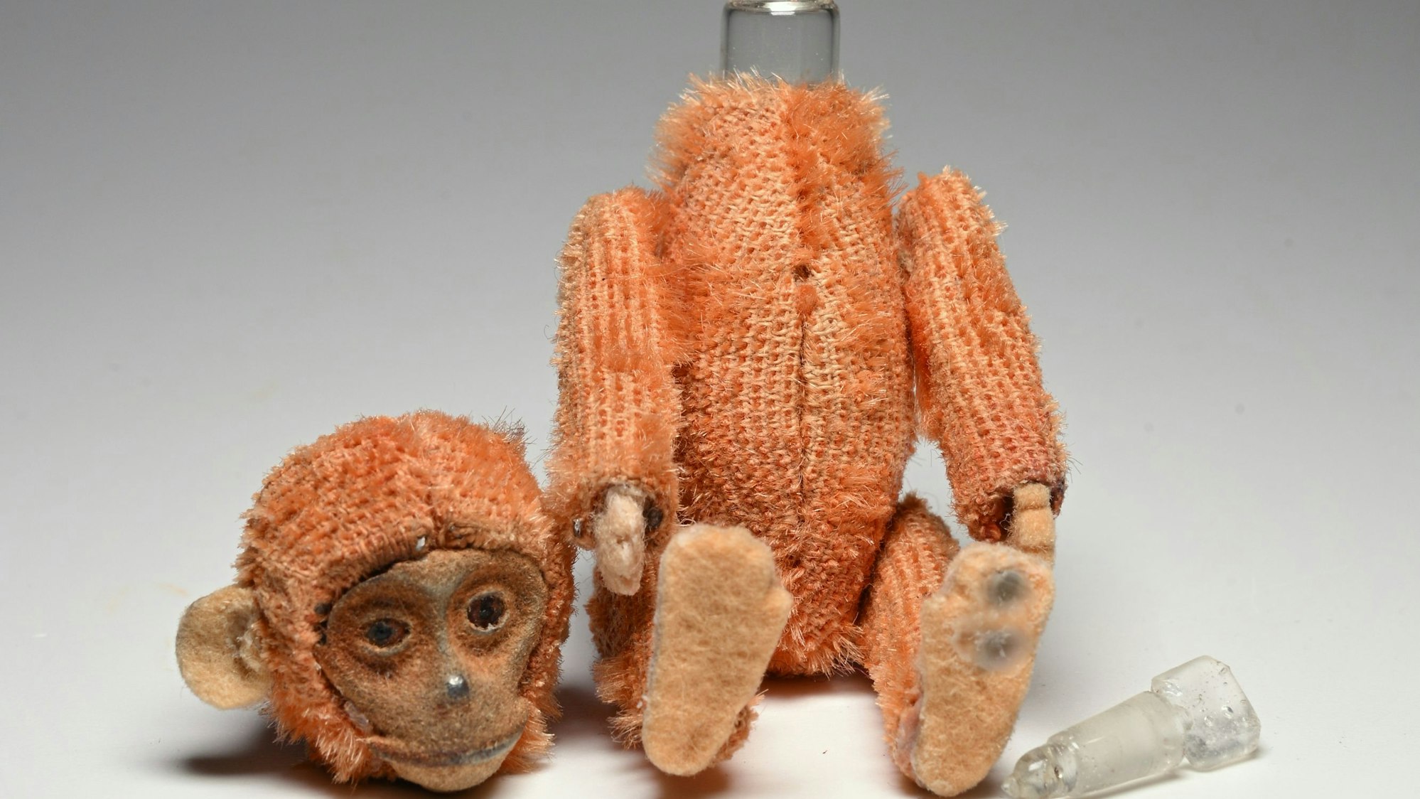 In der Figur des Affen steckt ein Parfum-Flakon. Ausgestellt wird er derzeit im Museum Couven in Aachen.