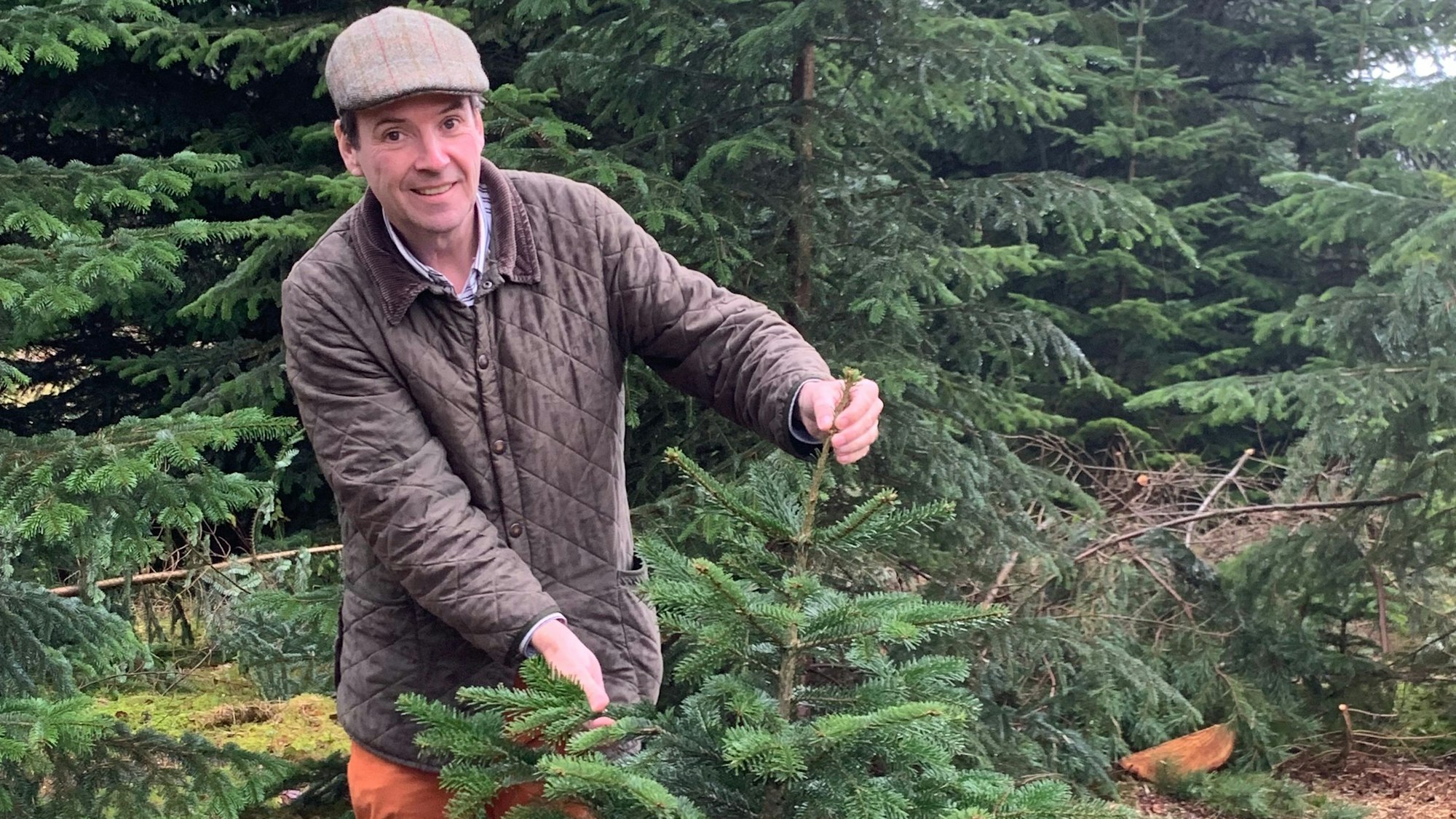 Land- und Forstwirt Hubertus von Groote überprüft seinen Bestand an Bäumen.
