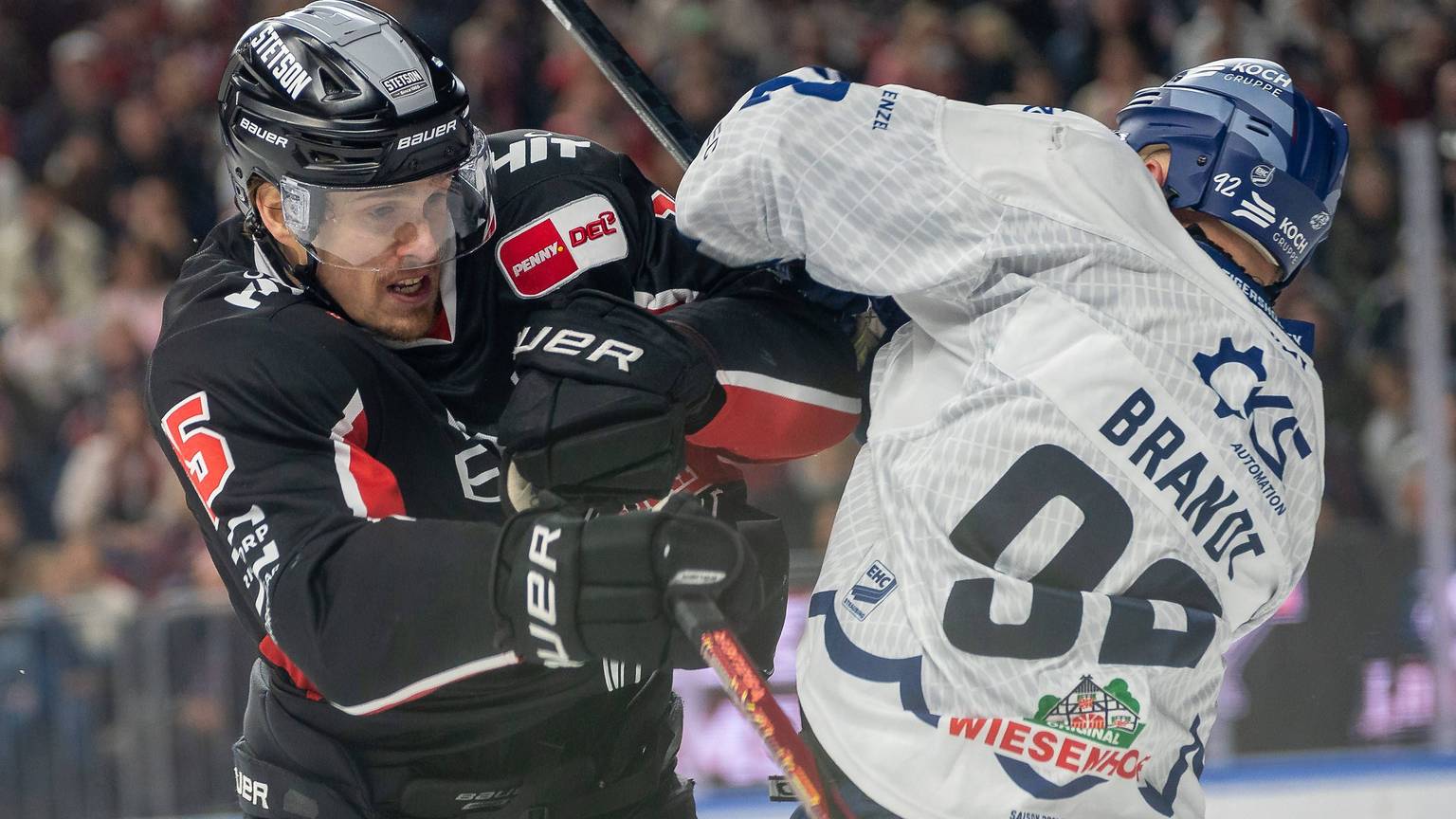 29. Spieltag, Kölner Haie - Straubing Tigers in der Lanxess Arena in Koeln. Kleine Auseinandersetzung zwischen Louis-Marc Aubry Koelner Haie, 15 und Marcel Brandt Straubing Tigers,