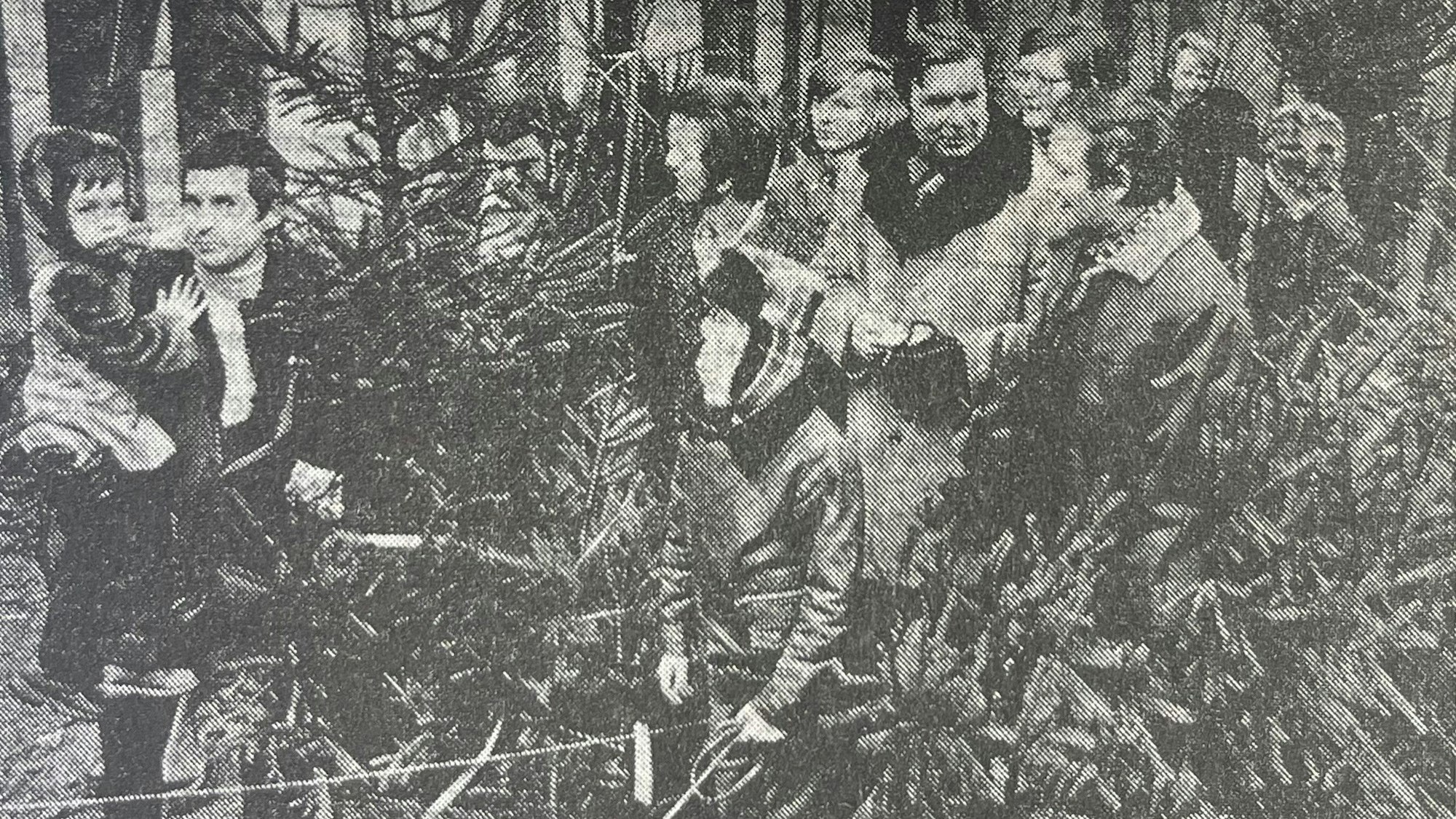 Ein paar hundert Fichten wurden in der Berstig vor dem Weihnachtsfest 1974 bei einer Veranstaltung des Gummersbacher Bürgervereins geschlagen.