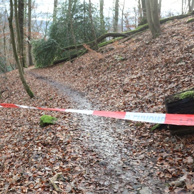 Großer Einsatz der Feuerwehr und Polizei nach Knochenfund in der Nähe des Rheinsteigs unterhalb des Drachenfelsplateaus in einem Steilhang.