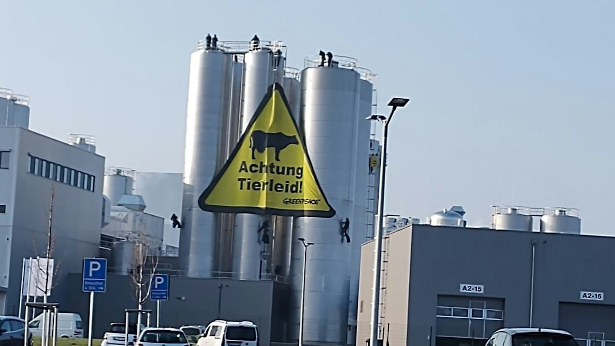 Ein gelbes Transparent mit der Aufschrift Achtung Tierleid haben Greenpeace-Aktivisten in den Silos der Molkerei Hochwald in Mechernich-Obergartzem befestigt.