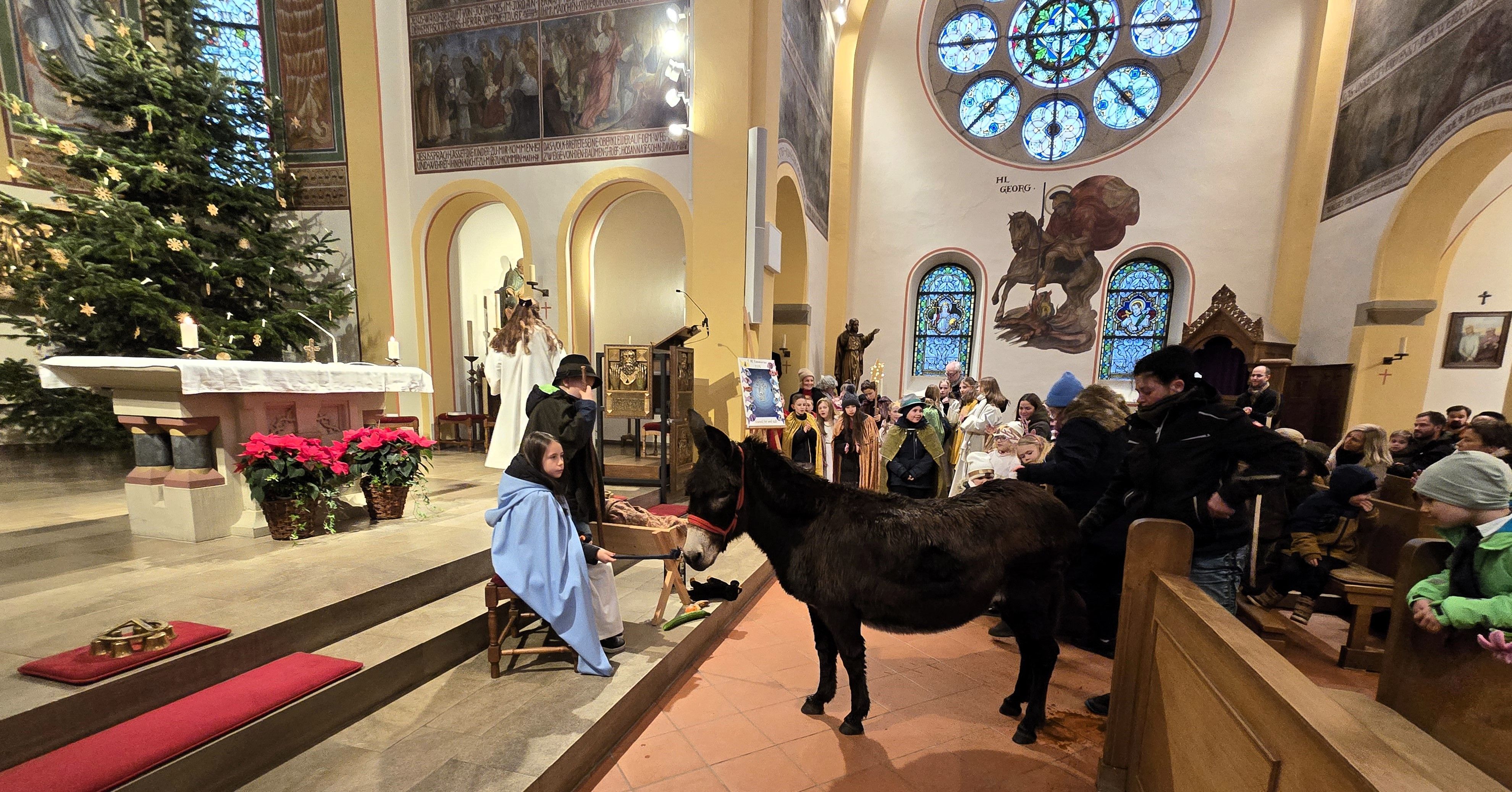 Bei einem Krippenspiel in der Kirche in Bad Münstereifel-Houverath wird Esel Zita zum Altar geführt.