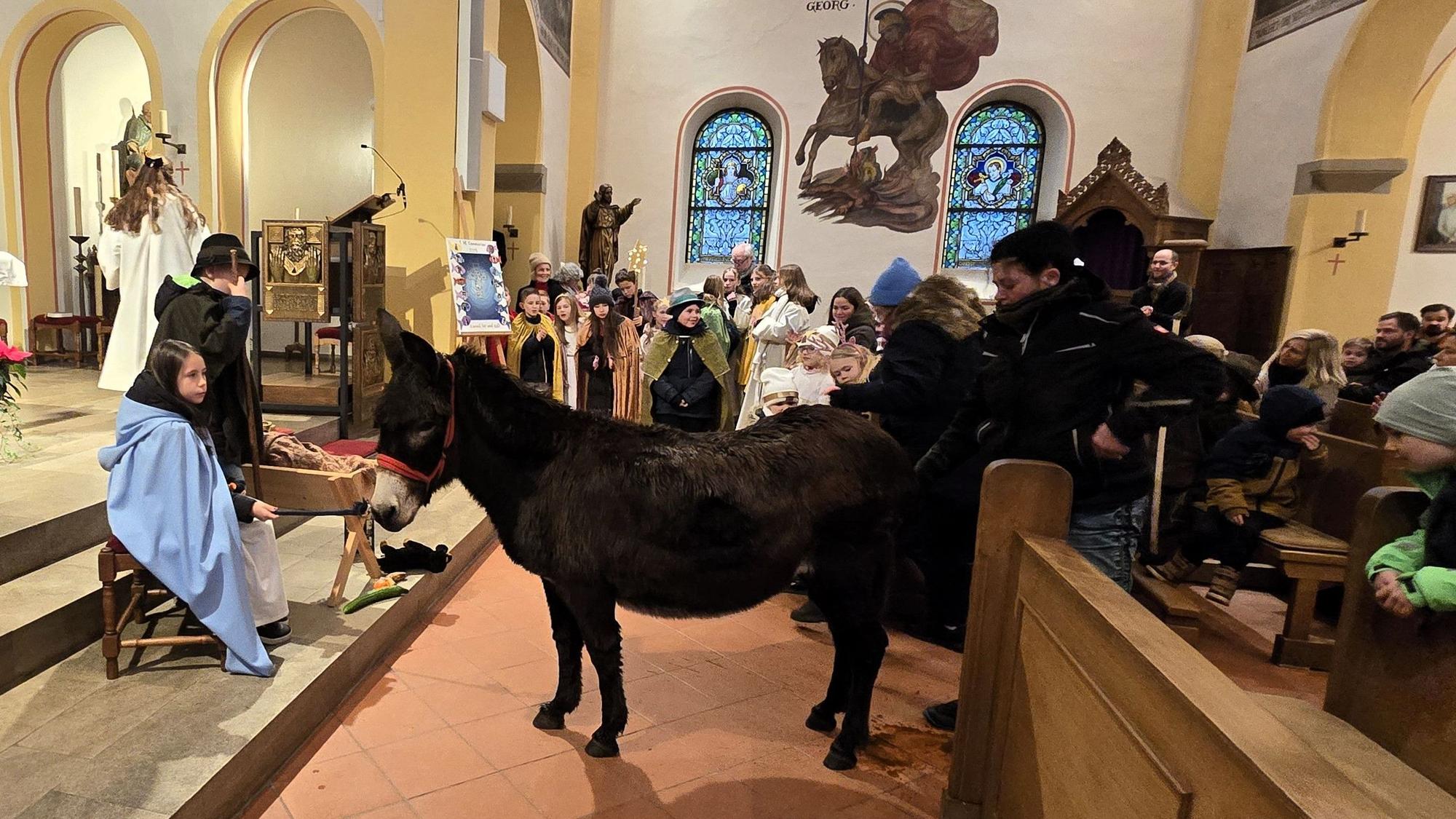 Bei einem Krippenspiel in der Kirche in Bad Münstereifel-Houverath wird Esel Zita zum Altar geführt.