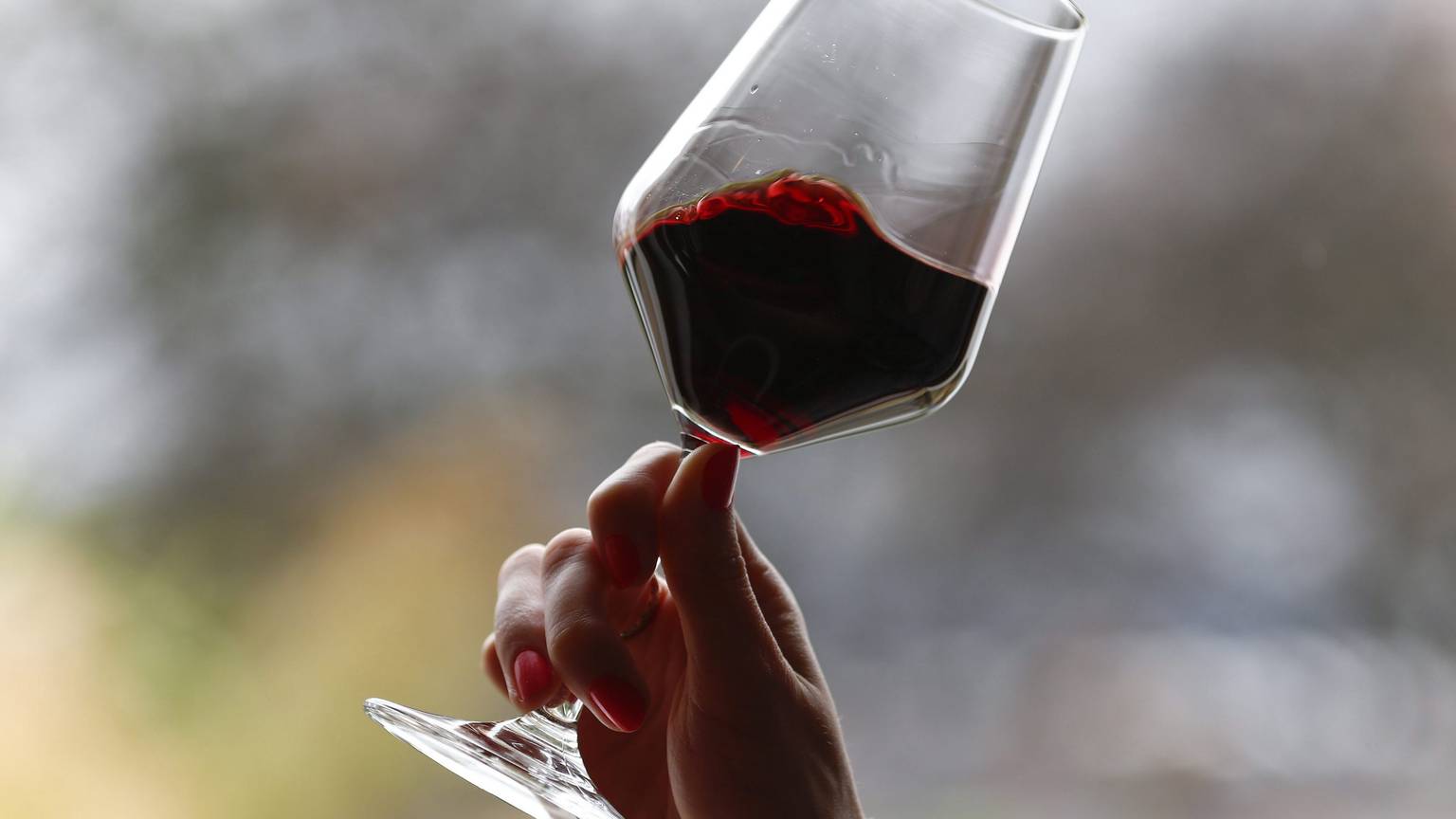 Eine Hand hebt ein Glas Rotwein und lässt die Flüssigkeit im Glas schwingen.