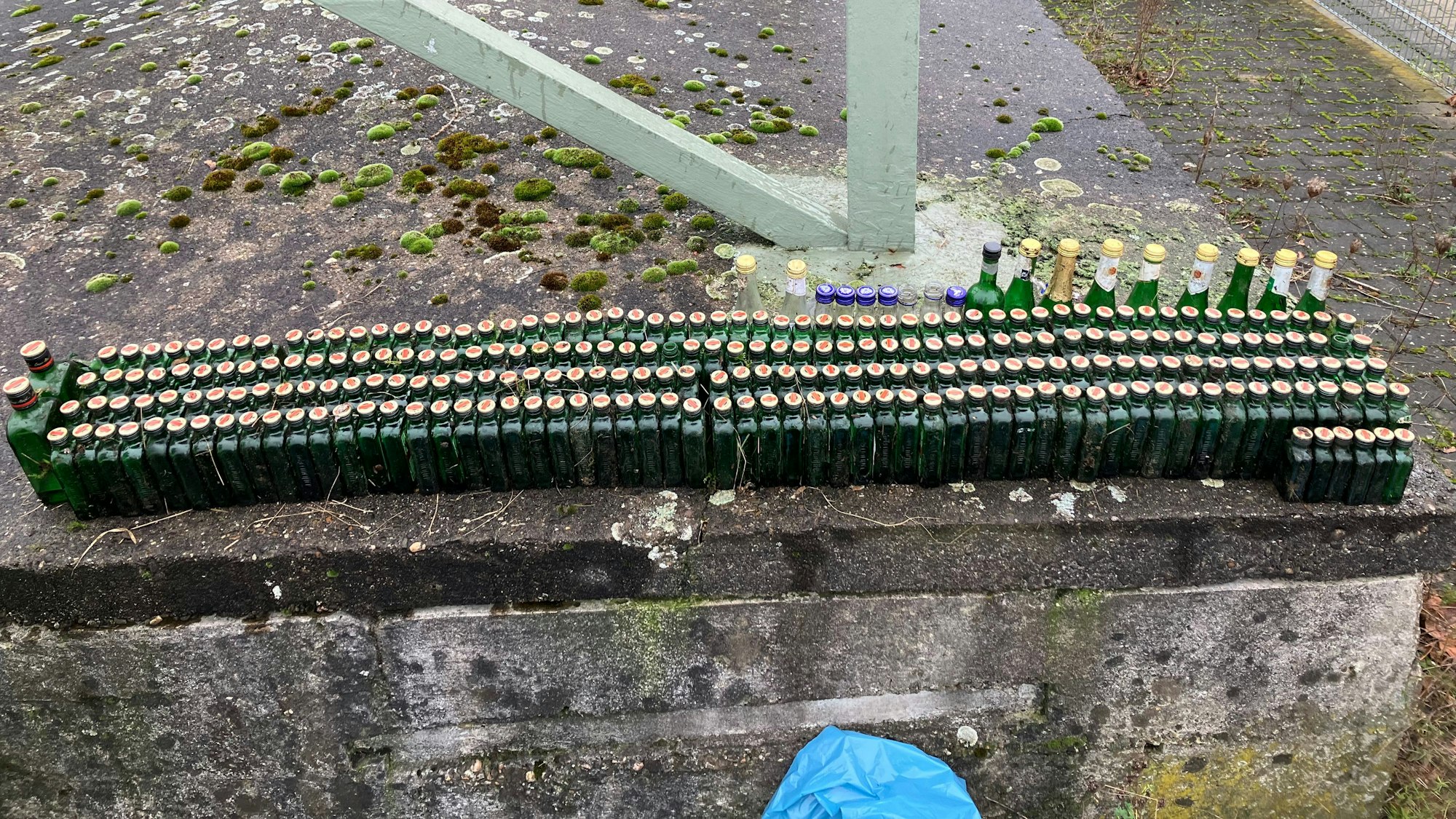 Auf dem Bild ist eine große Menge aufgereihter Schnaps- und Sektflaschen zu sehen, die Müllsammler ine einem Verkehrskreisel gefunden haben.