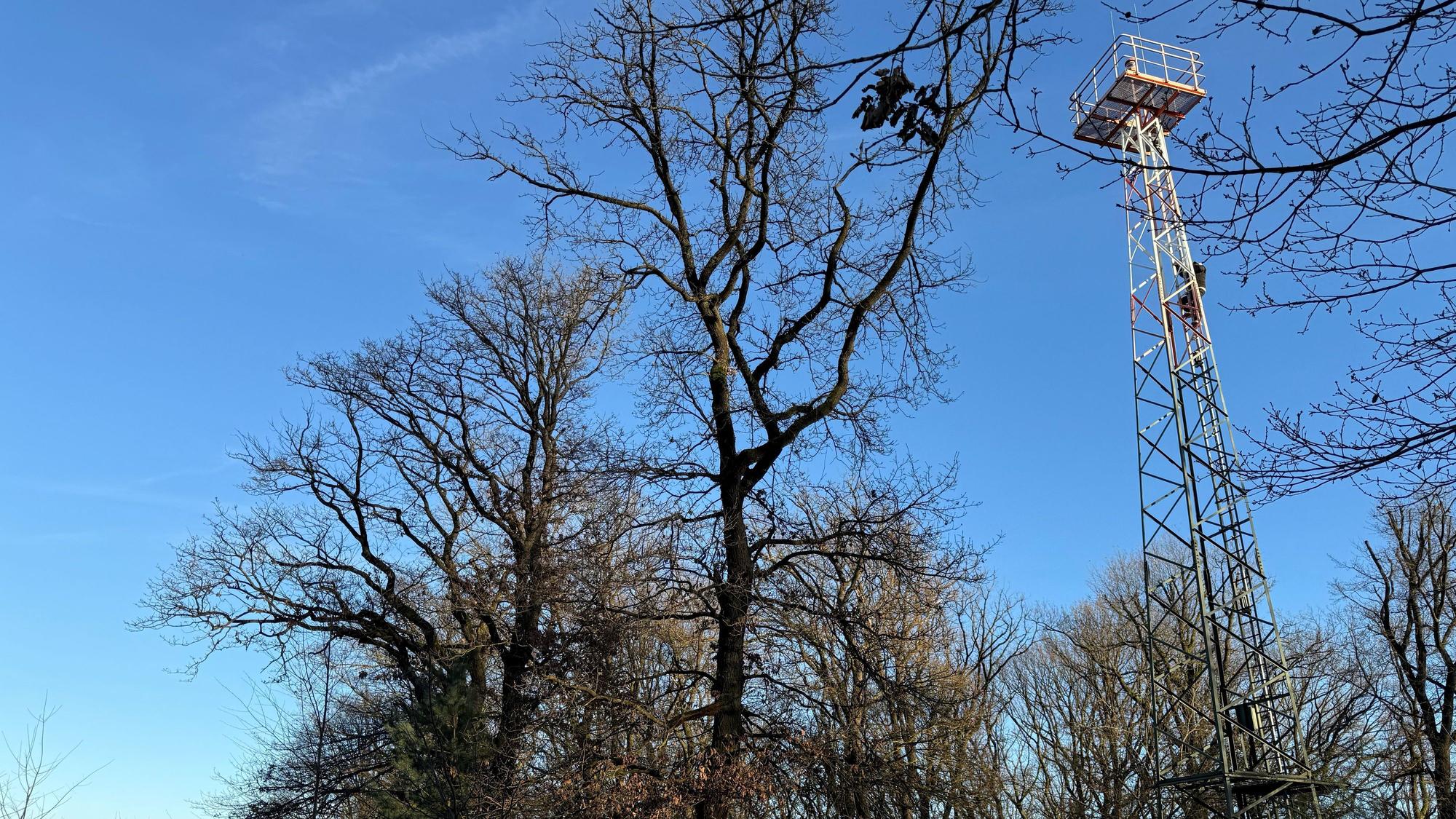 Die Erhöhung am Telegraphenberg ist 134 Meter hoch.