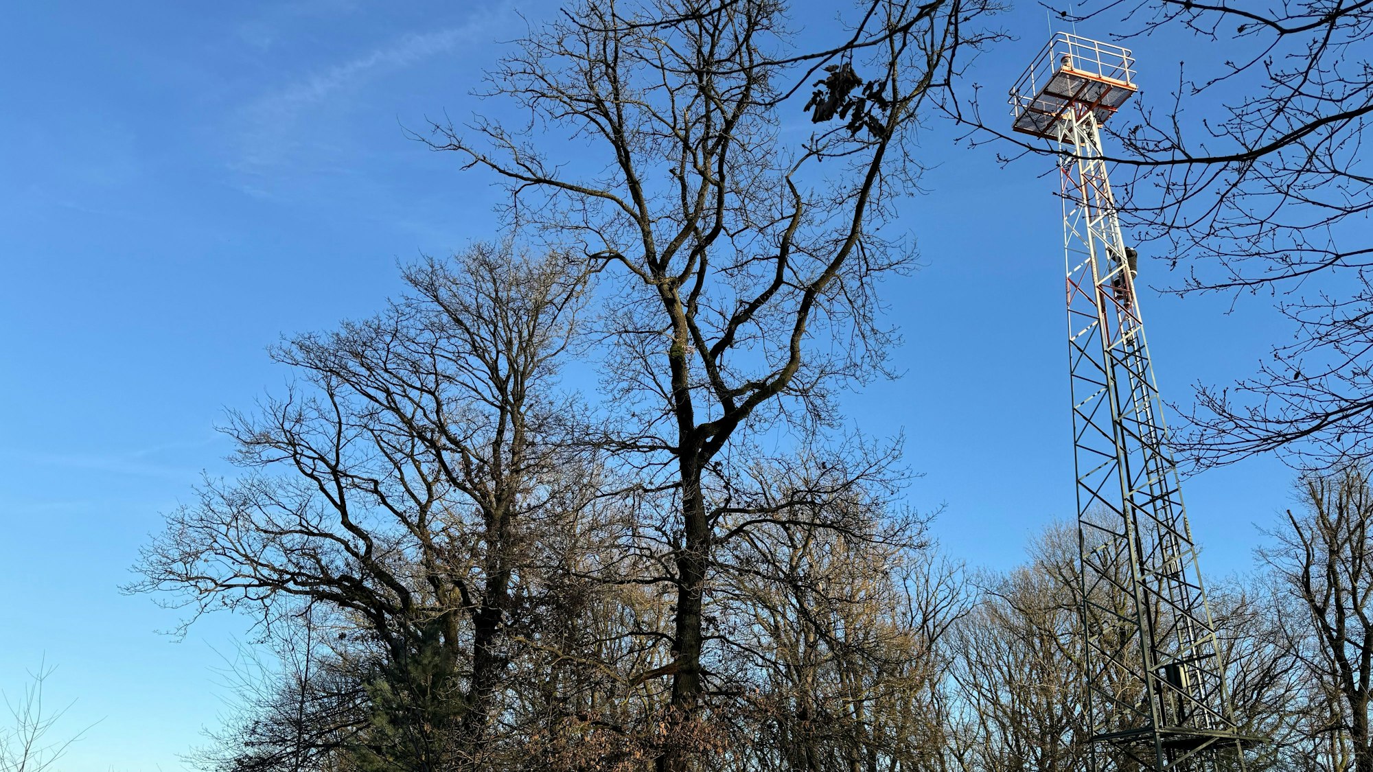 Die Erhöhung am Telegraphenberg ist 134 Meter hoch.