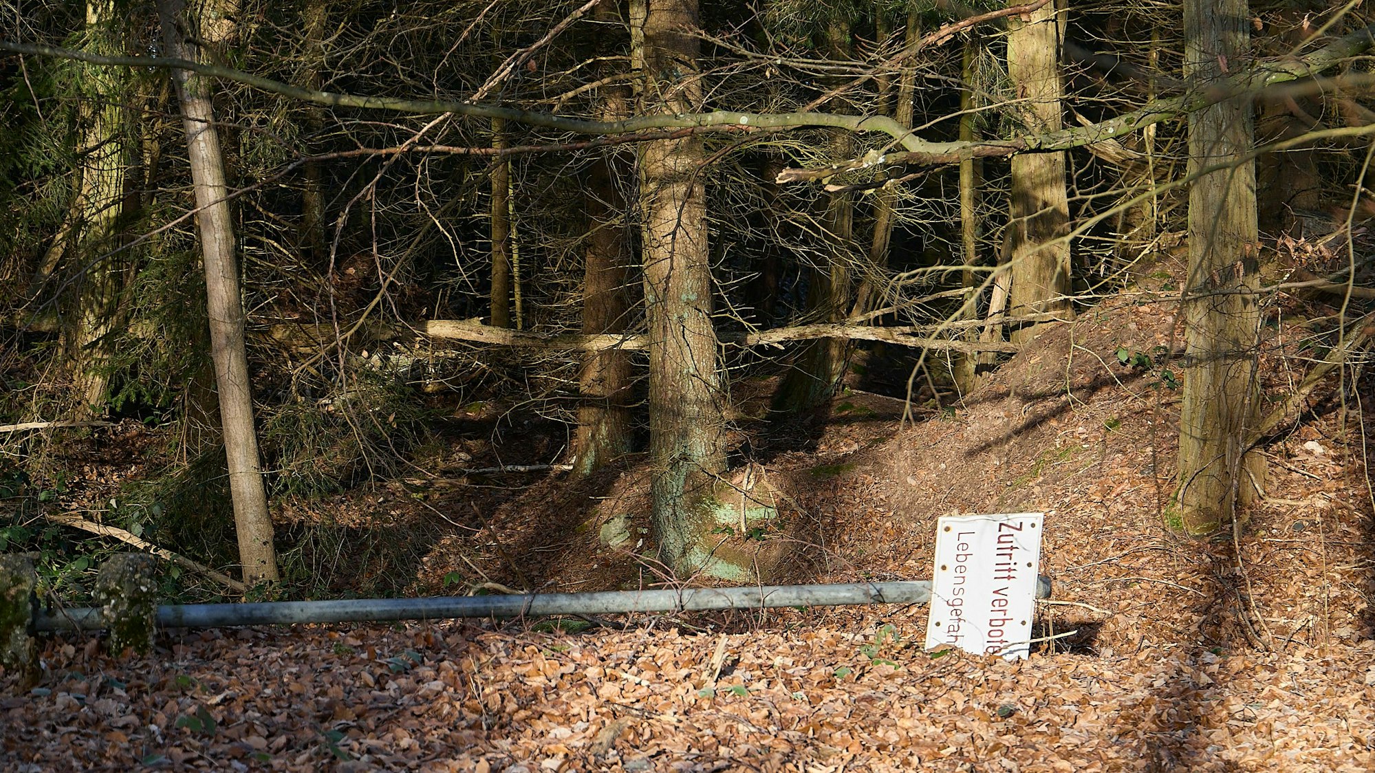 Man sieht einen steilen Anstieg im Wald, auf dem Boden liegt ein umgekipptes Warnschild, auf dem "Zutritt verboten - Lebensgefahr" steht.