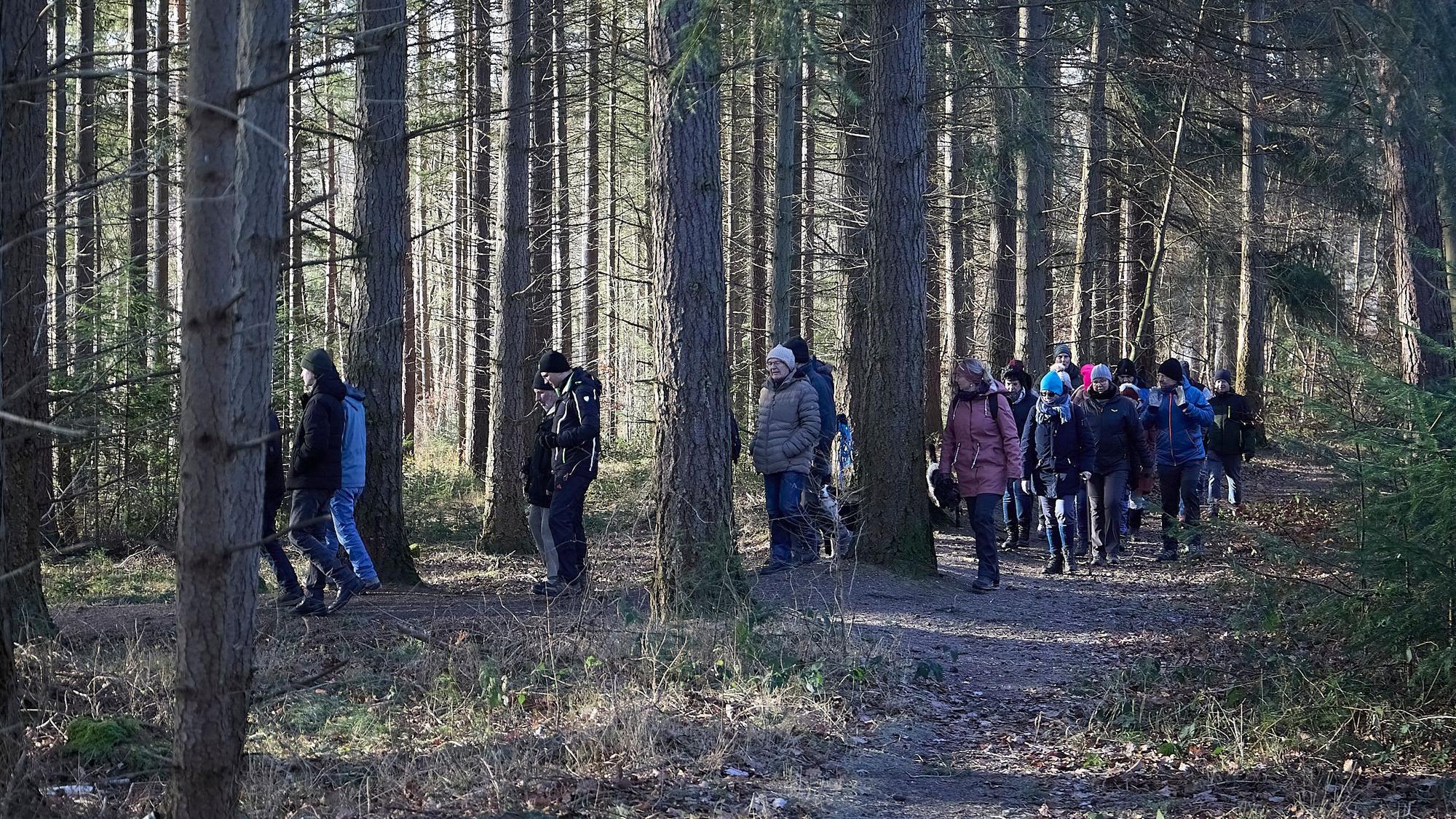 Durch den Wald zieht eine Gruppen von Menschen bei der Silvesterwanderung.