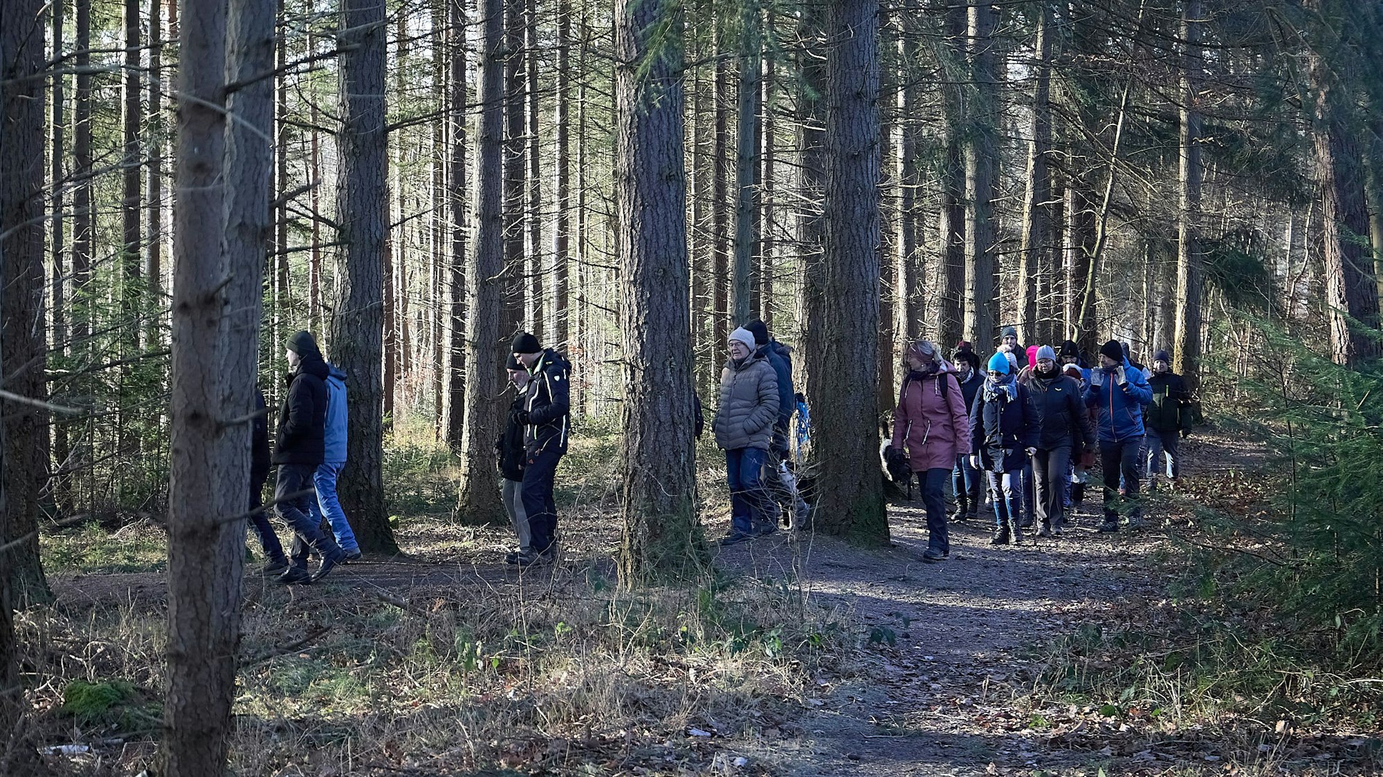 Durch den Wald zieht eine Gruppen von Menschen bei der Silvesterwanderung.