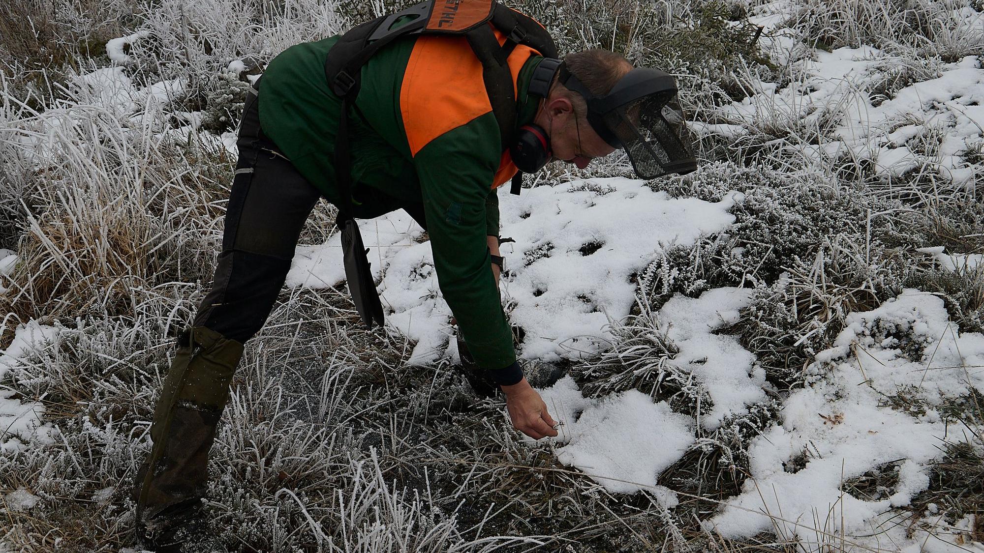 Ein Mann in schwarz-orangener Jacke beugt sich über die Pflanzen am Boden im Naturschutzgebiet Baasemer Heide.