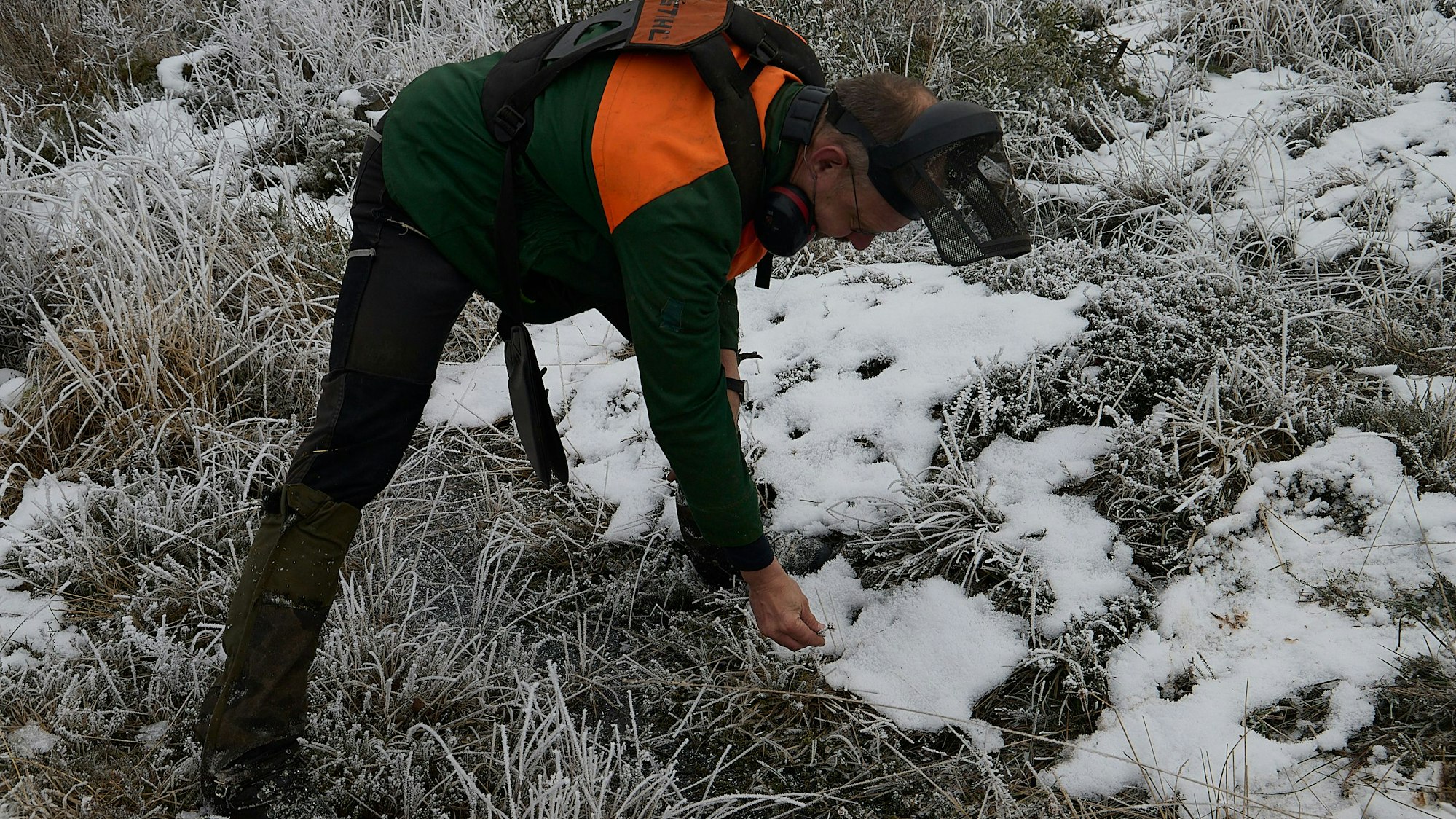 Ein Mann in schwarz-orangener Jacke beugt sich über die Pflanzen am Boden im Naturschutzgebiet Baasemer Heide.